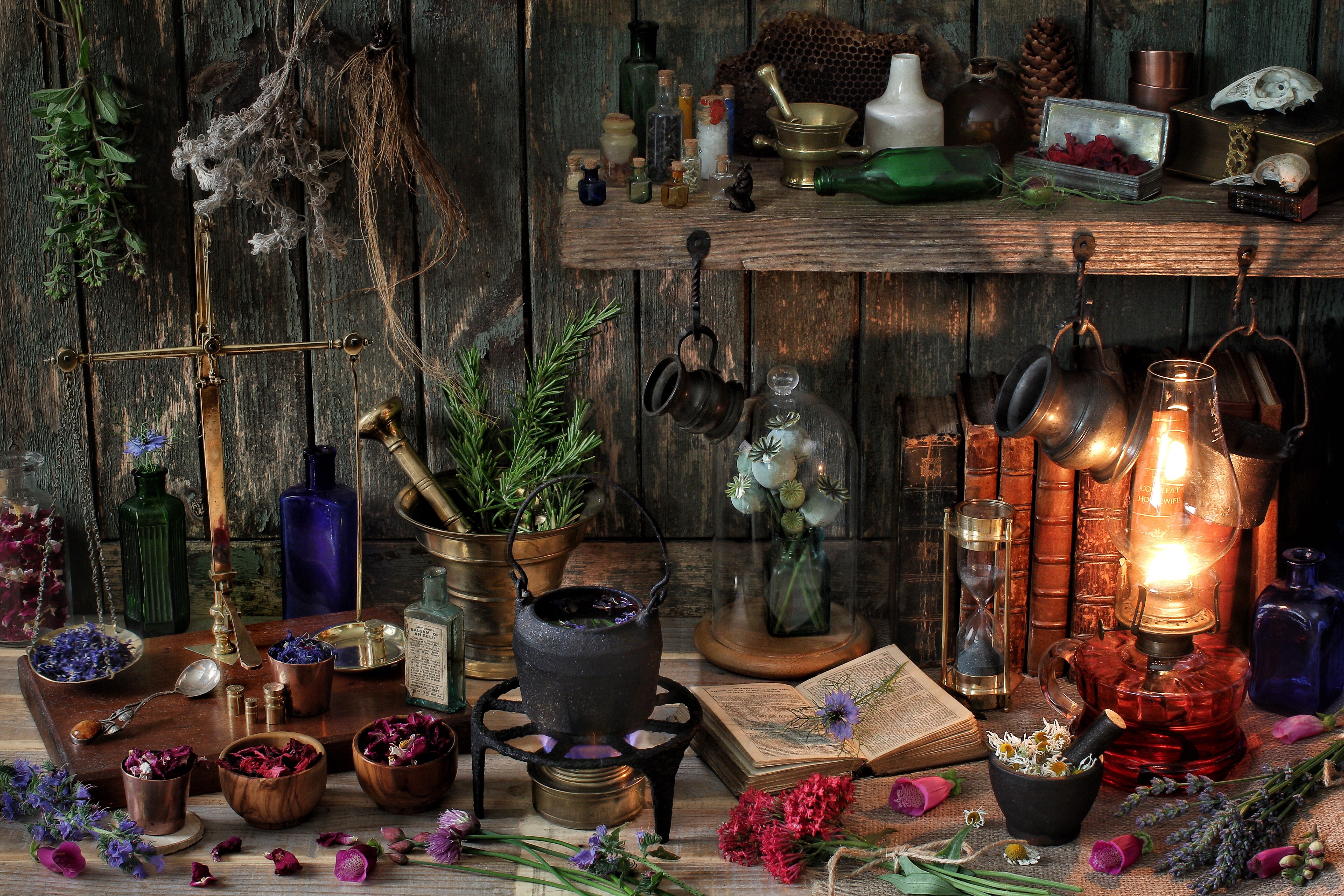 Witch's Altar with Herbs and Potions HD Wallpaper