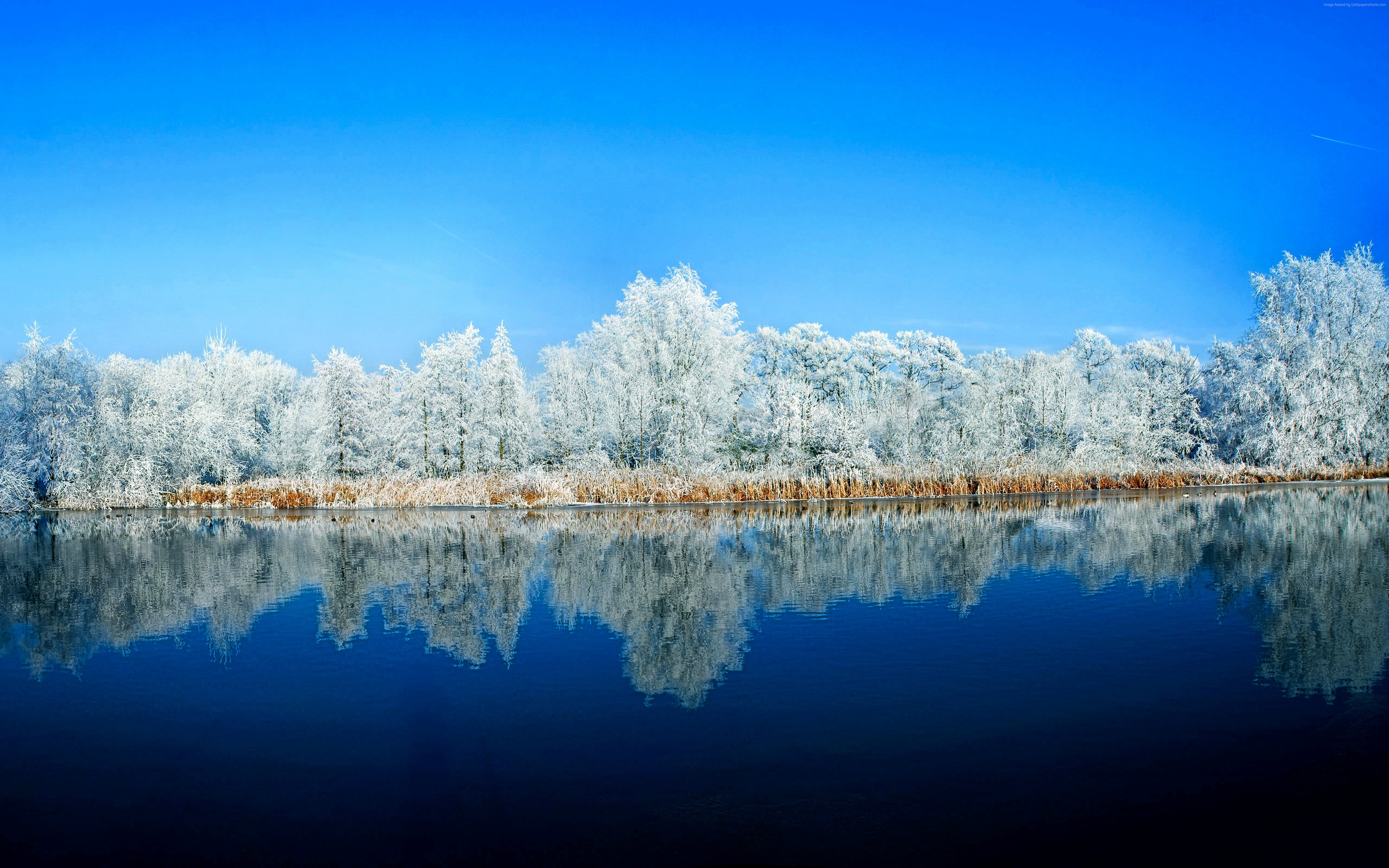 Winter forest reflected in a lake under a blue sky HD Wallpaper