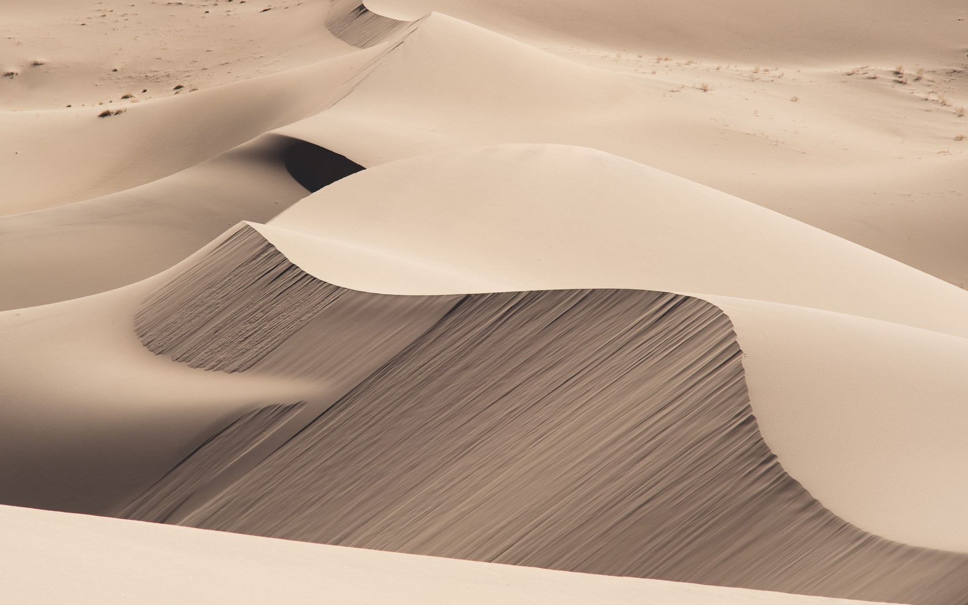 Sand dunes with rippled textures HD Wallpaper