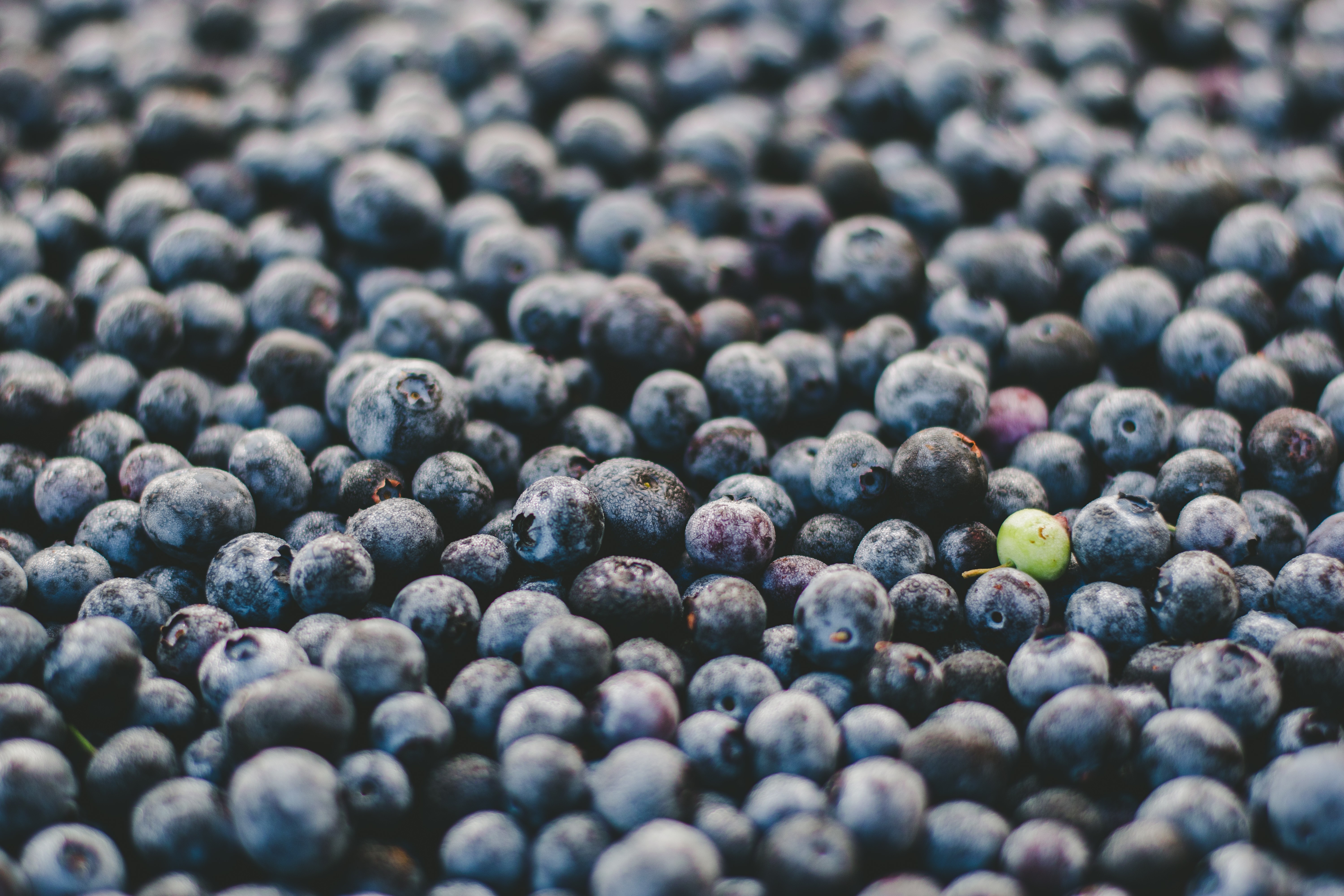 Close-up of fresh blueberries with one unripe green berry HD Wallpaper
