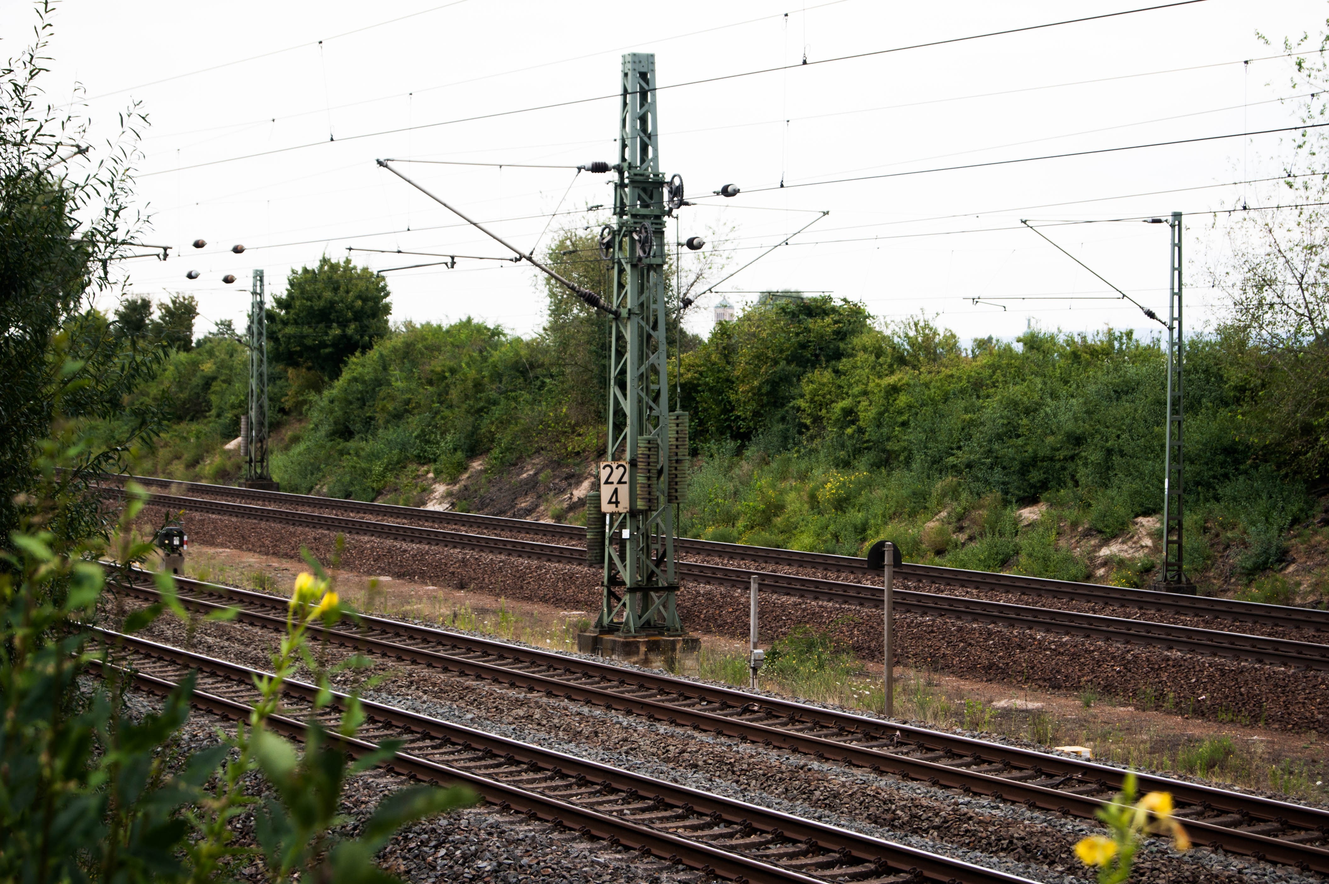 Railway tracks with overhead power lines and trees HD Wallpaper