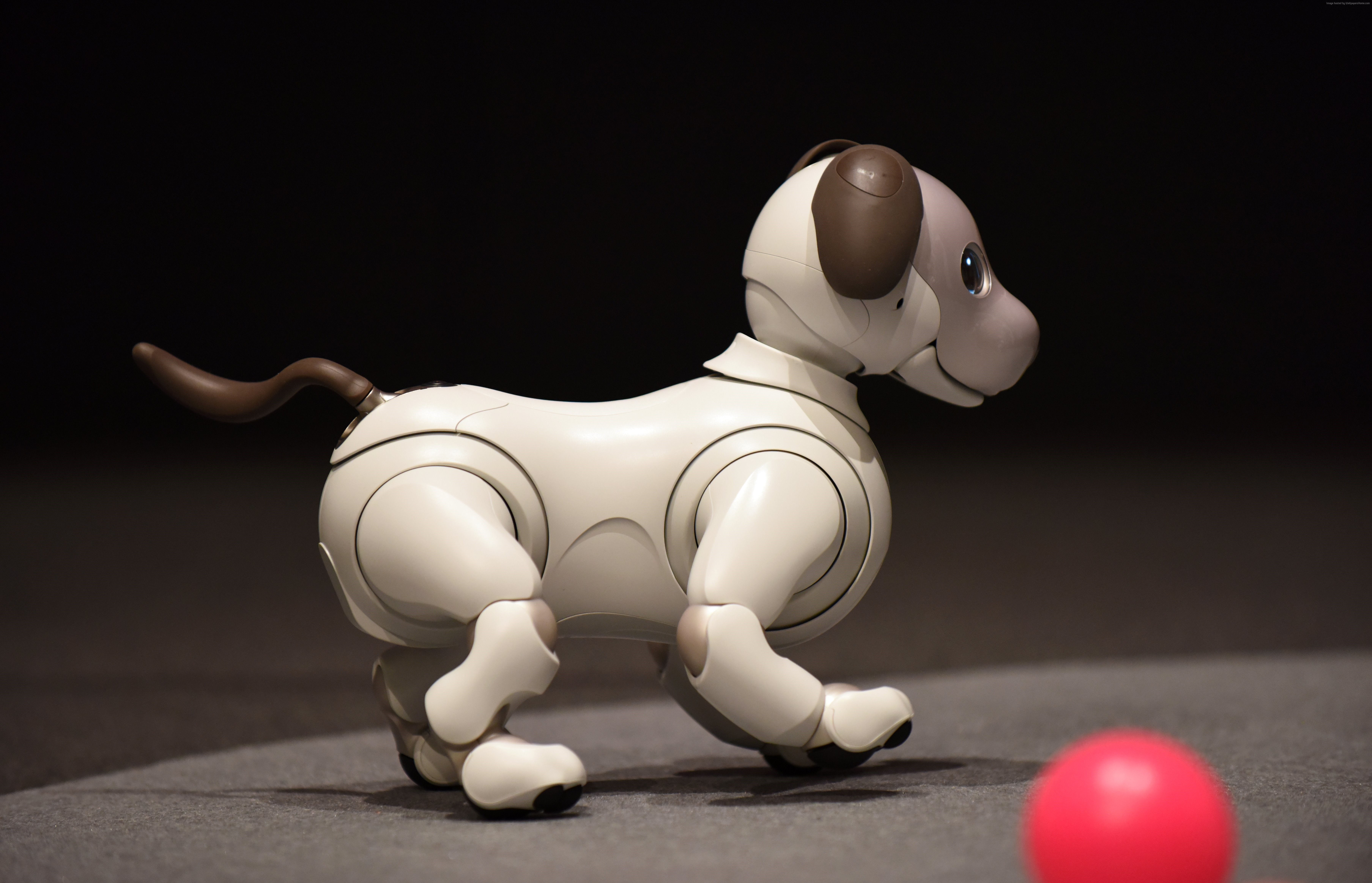 Sony Aibo robot dog at CES 2018 HD Wallpaper