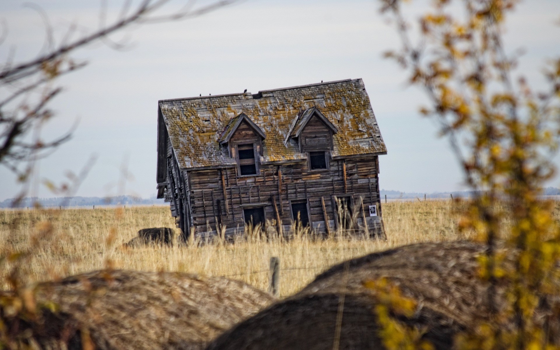 Dilapidated wooden house in a dry field HD Wallpaper