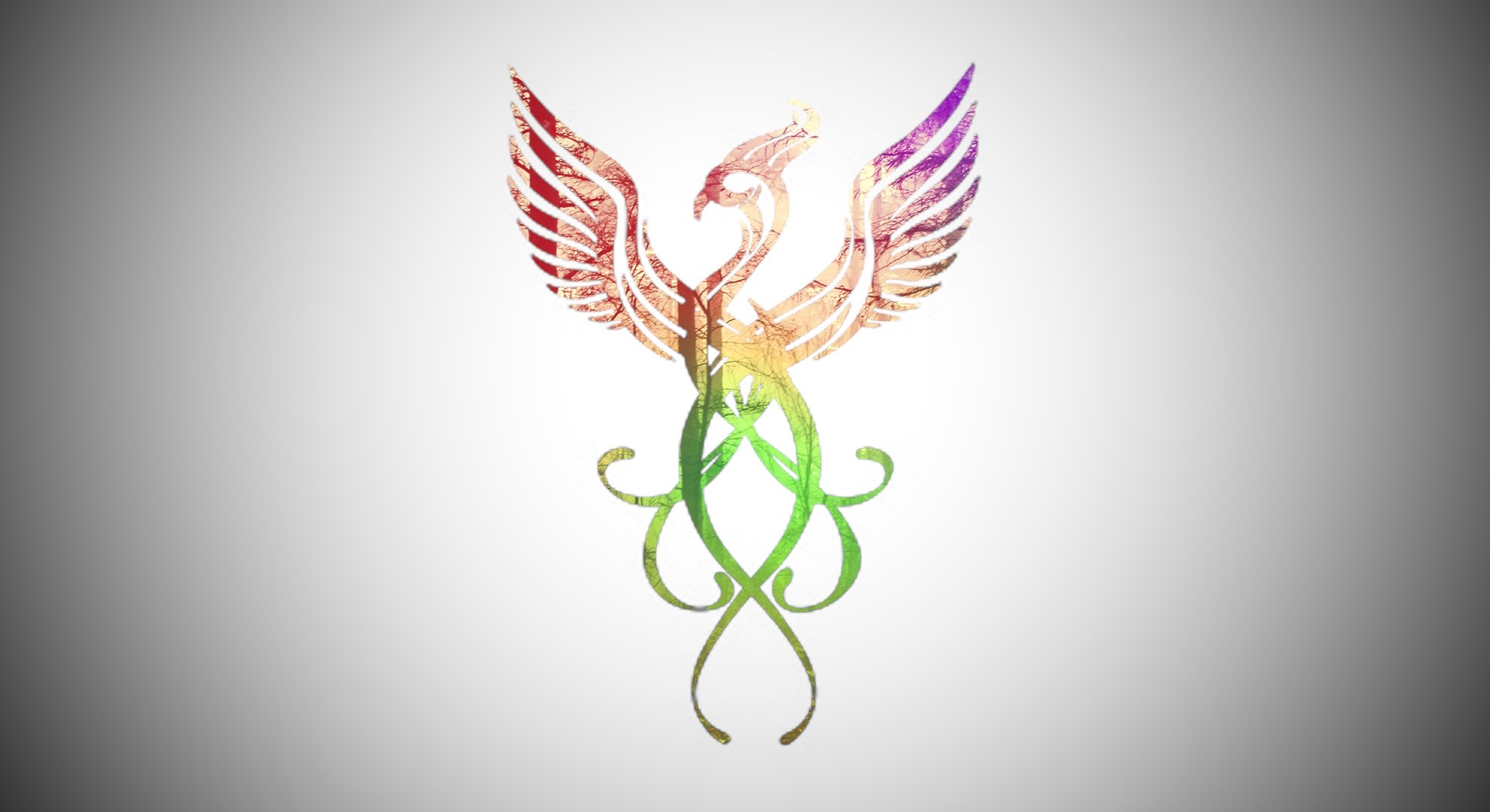 Phoenix logo with colorful textured wings and tail HD Wallpaper