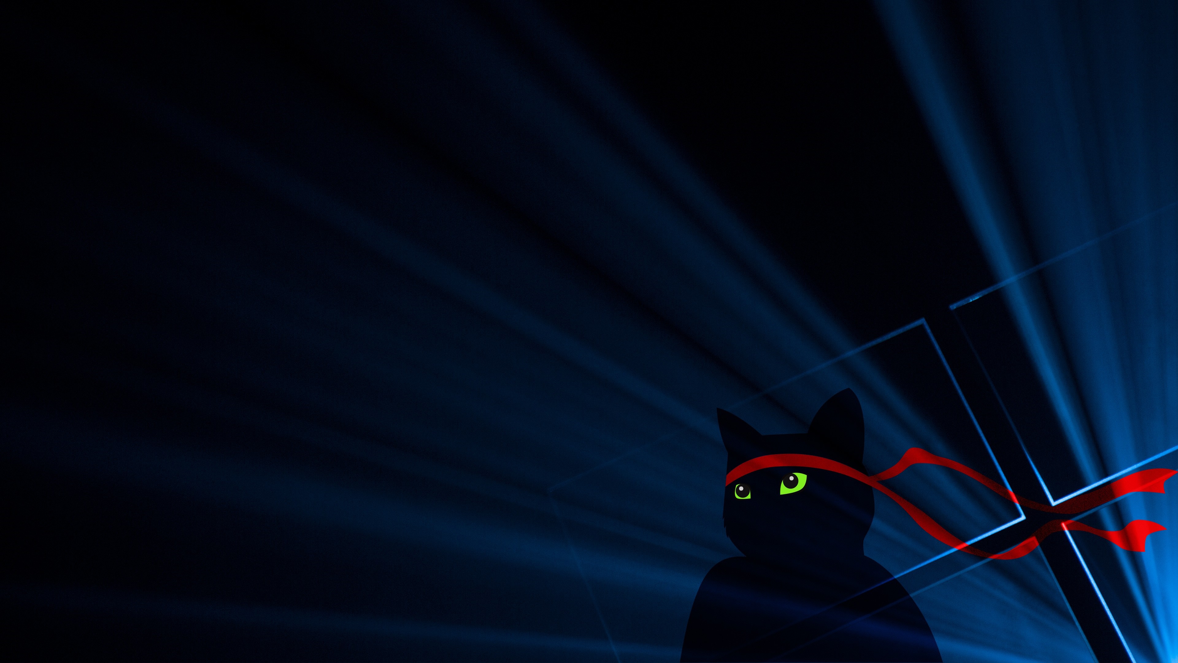 Ninja Cat with Red Headband on Blue Light Background HD Wallpaper