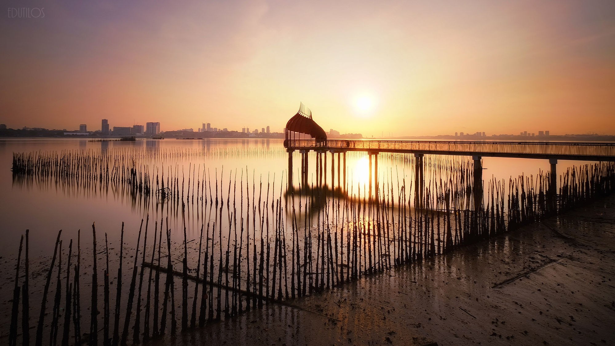 Wooden pier and posts in water at sunset with city skyline HD Wallpaper