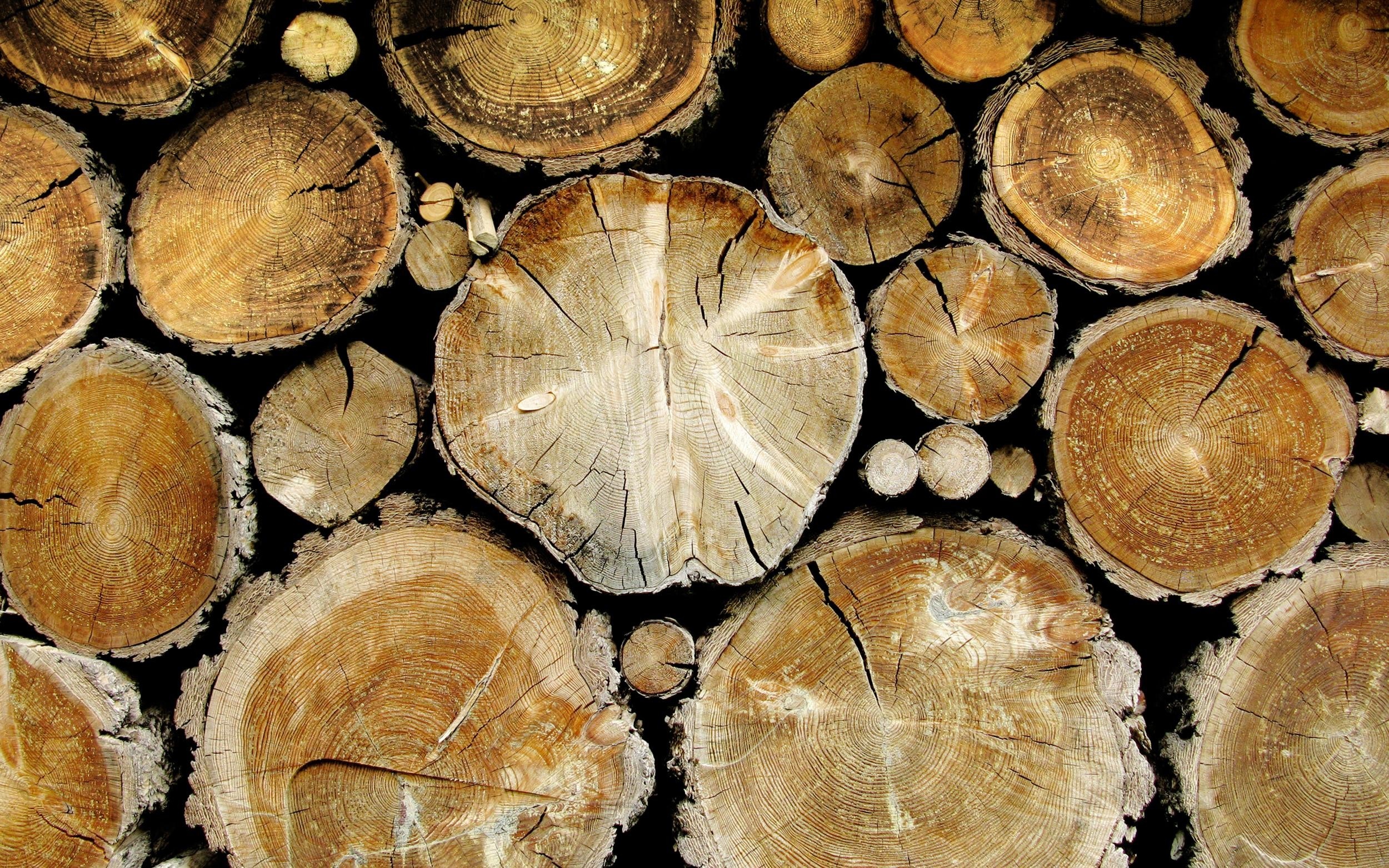 Stack of cut logs with visible tree rings HD Wallpaper