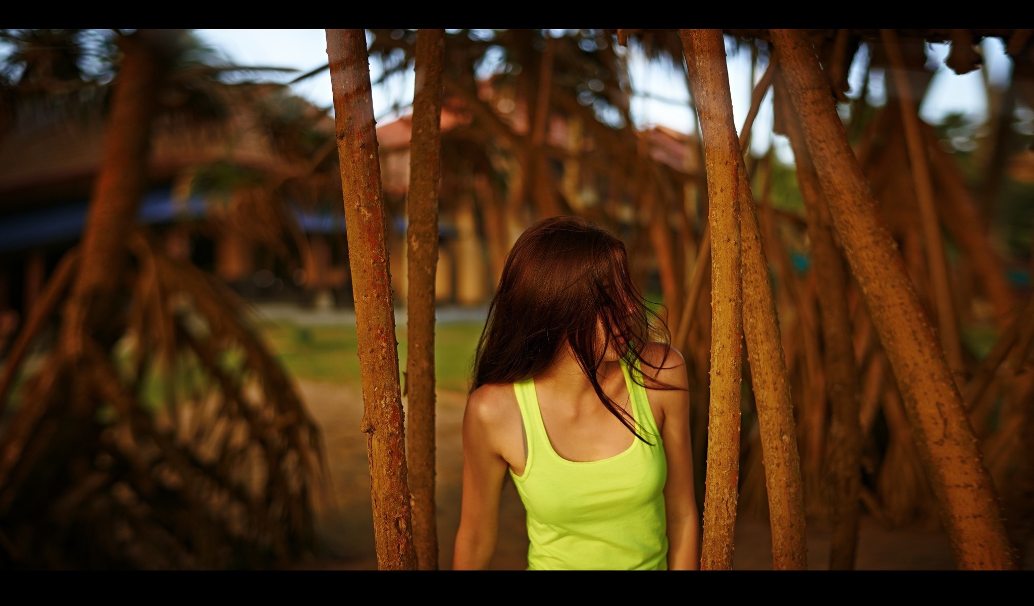 Woman in neon tank top among trees HD Wallpaper