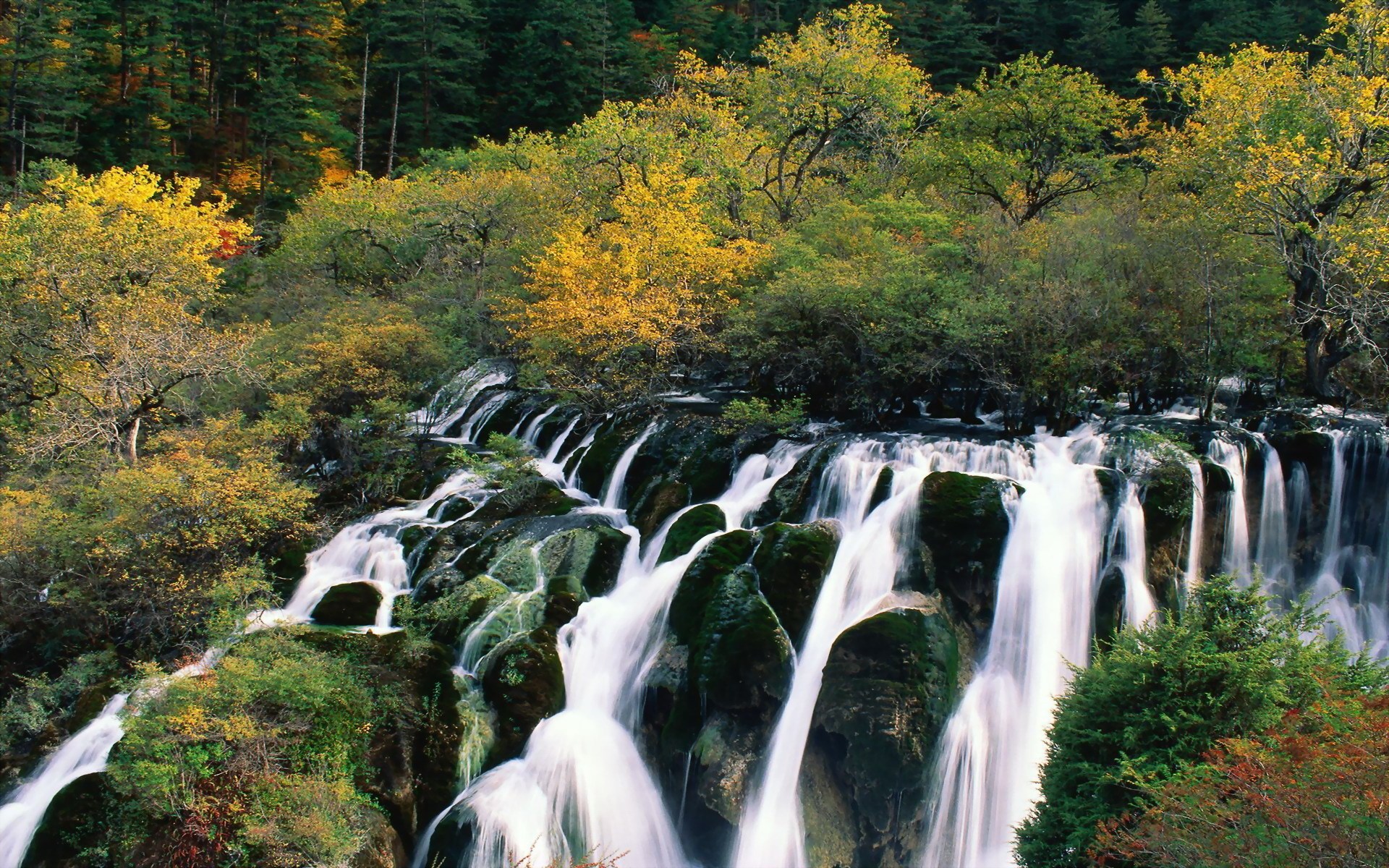 Multi-tiered waterfall in a forest with autumn foliage HD Wallpaper