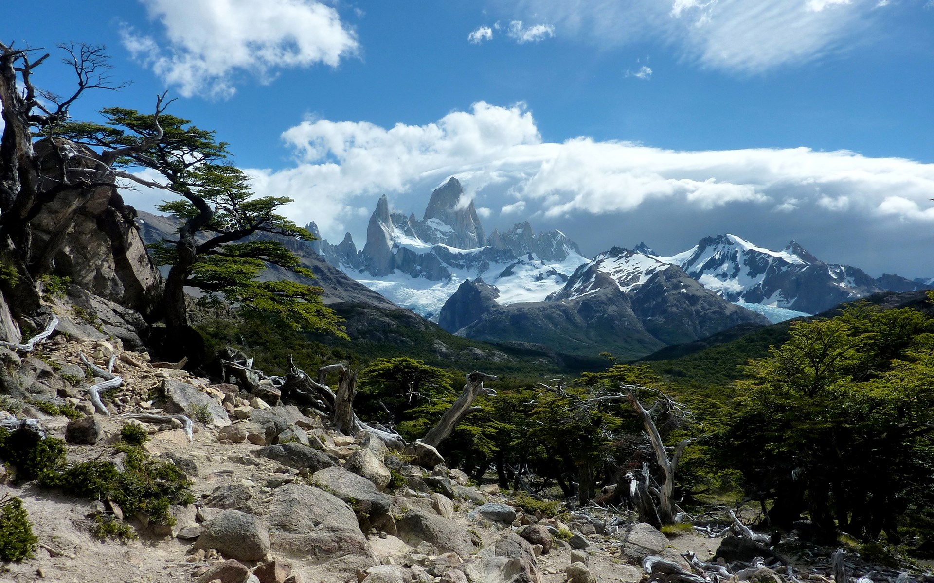 Fitz Roy mountain range with trees in foreground HD Wallpaper
