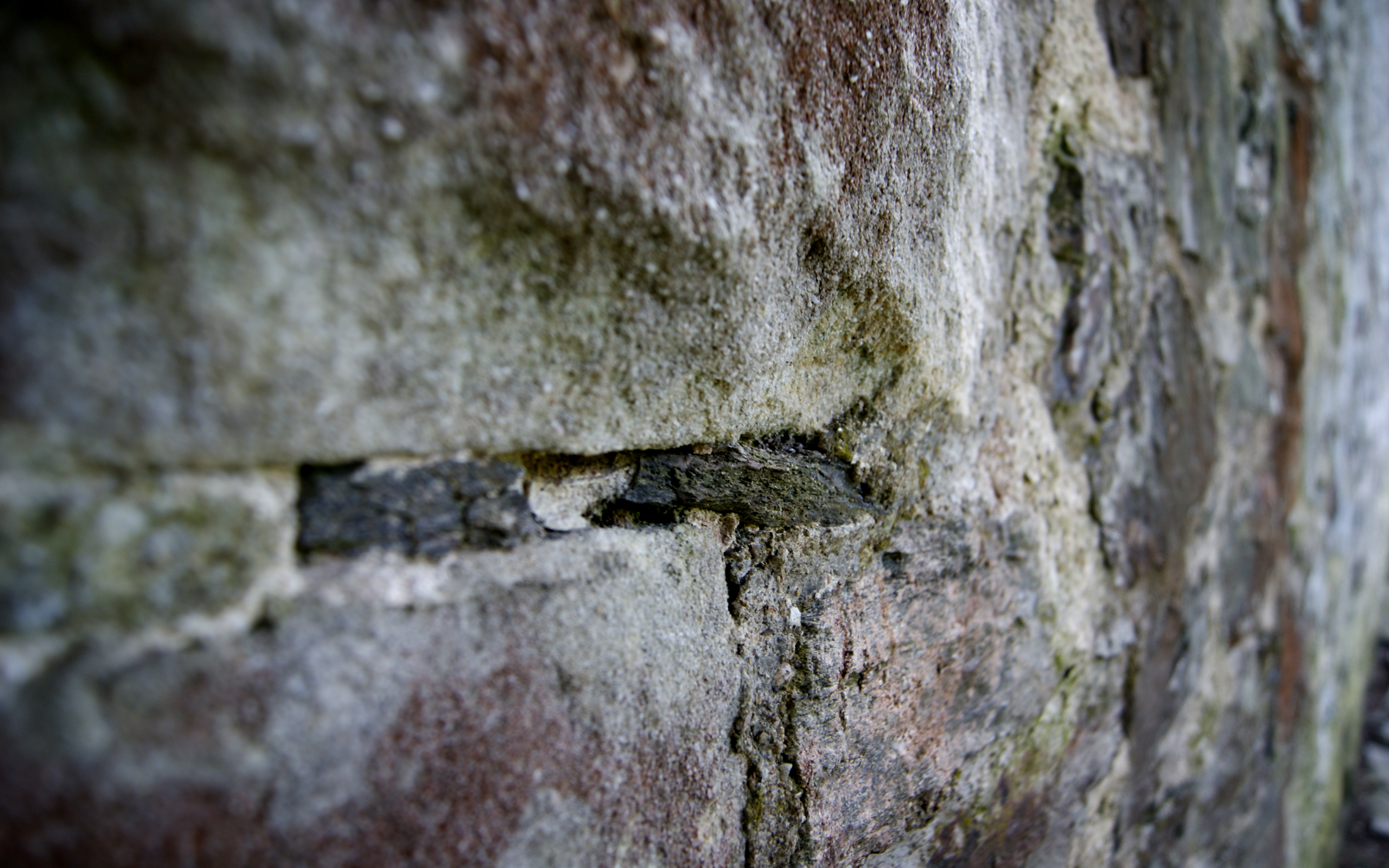 Close-up of a textured stone wall HD Wallpaper