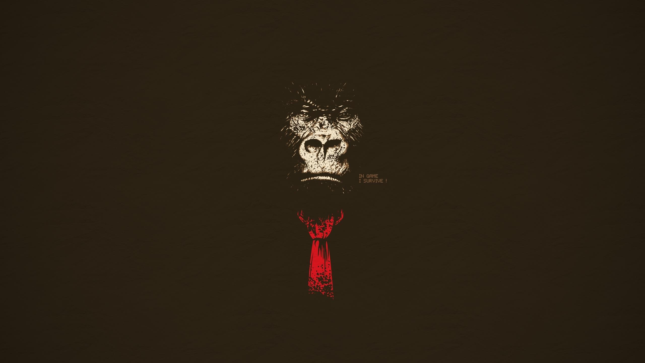 Gorilla wearing a red tie HD Wallpaper