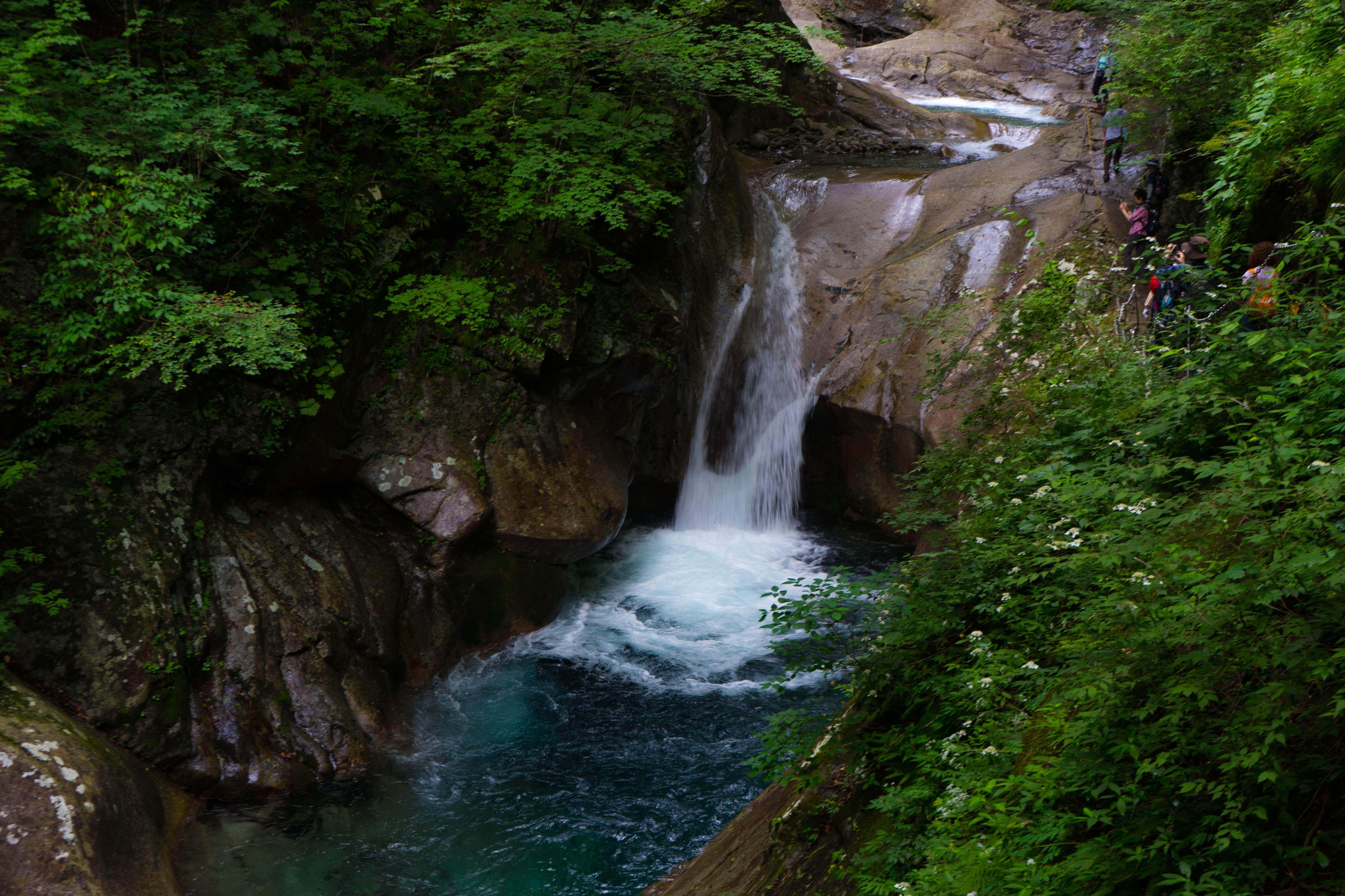 Waterfall cascading into a turquoise pool in a lush forest HD Wallpaper