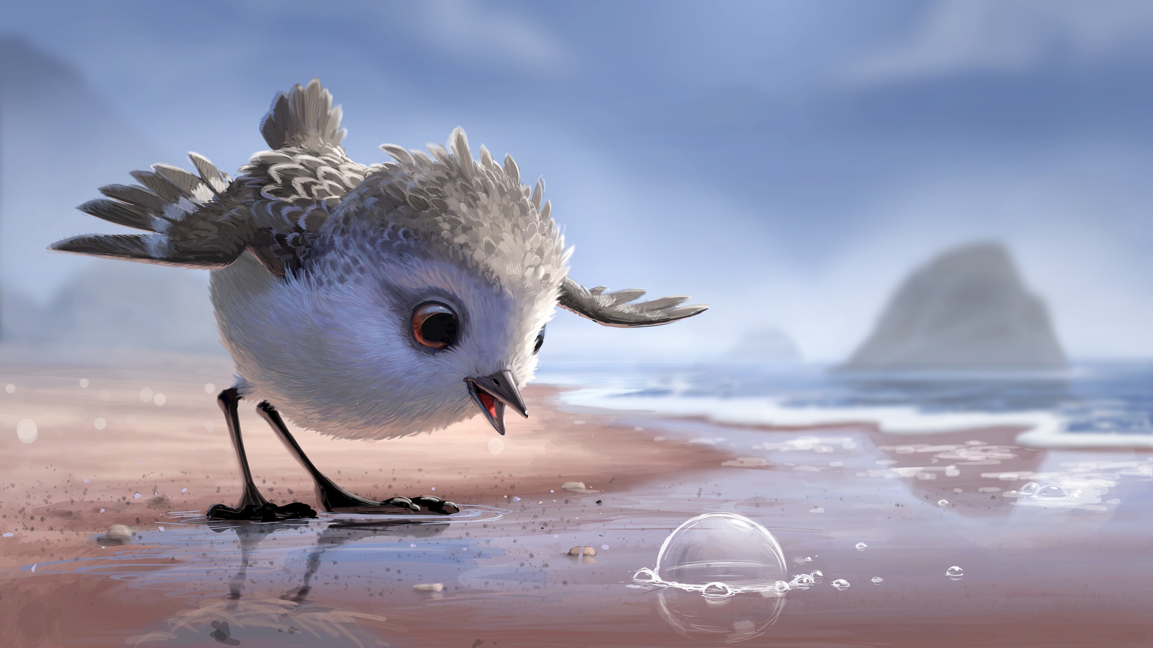 A small bird on a beach looking at a bubble HD Wallpaper