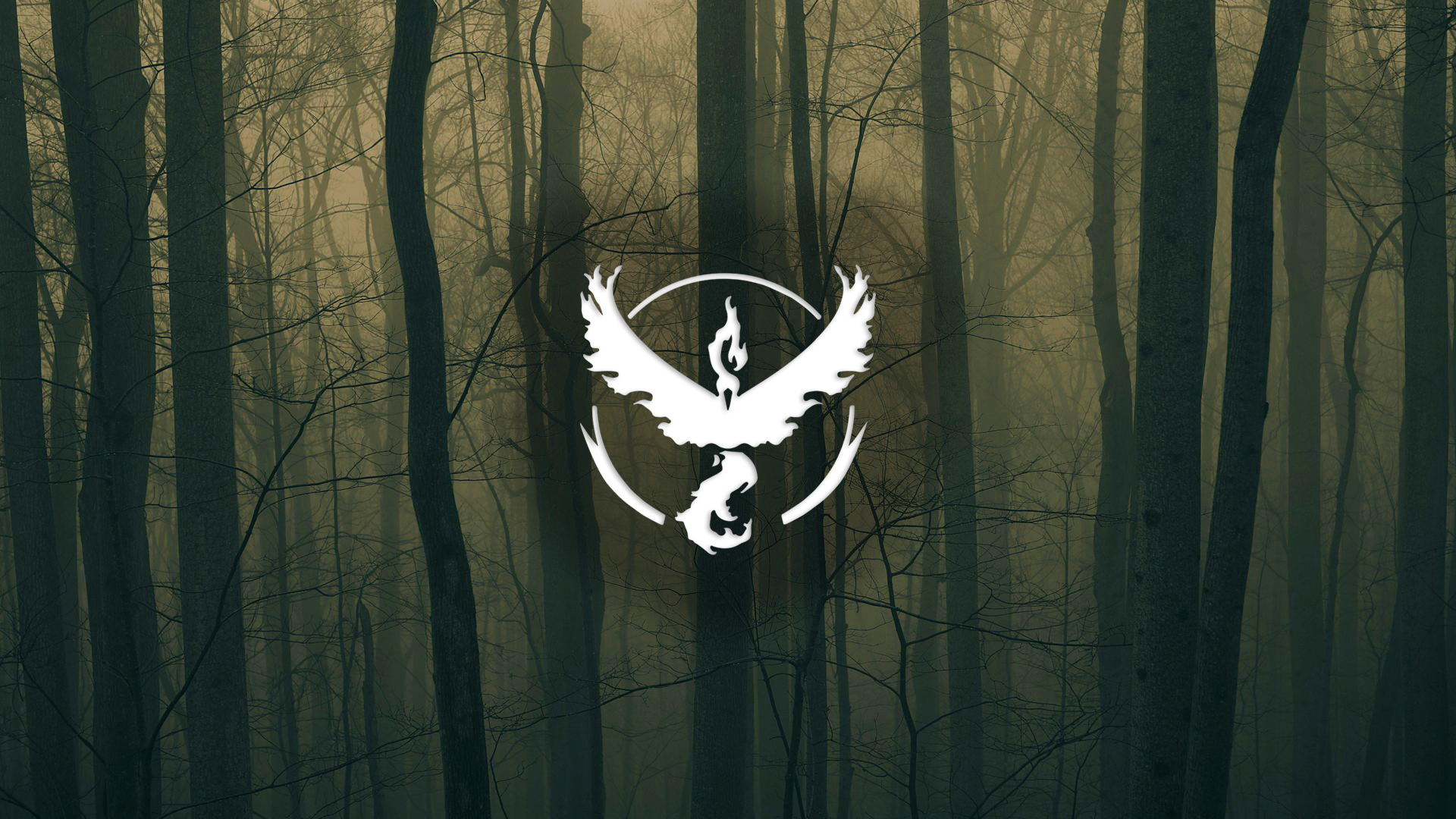 Team Valor logo in a dark forest HD Wallpaper