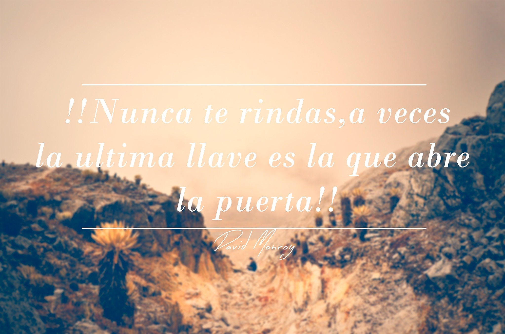 Quote about never giving up by David Monroy HD Wallpaper