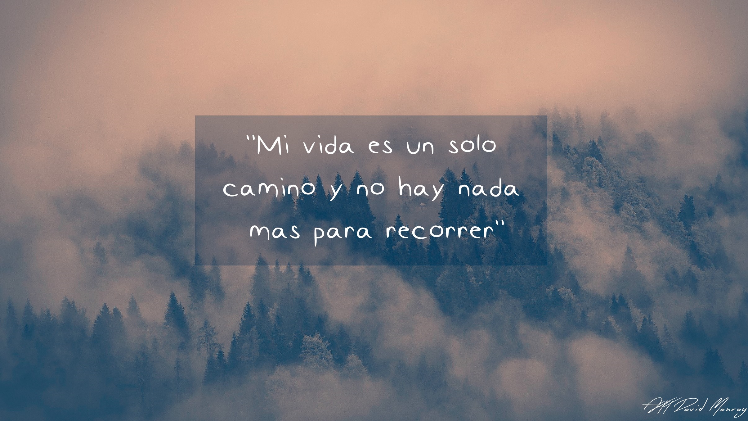 Quote about life's journey over foggy forest HD Wallpaper