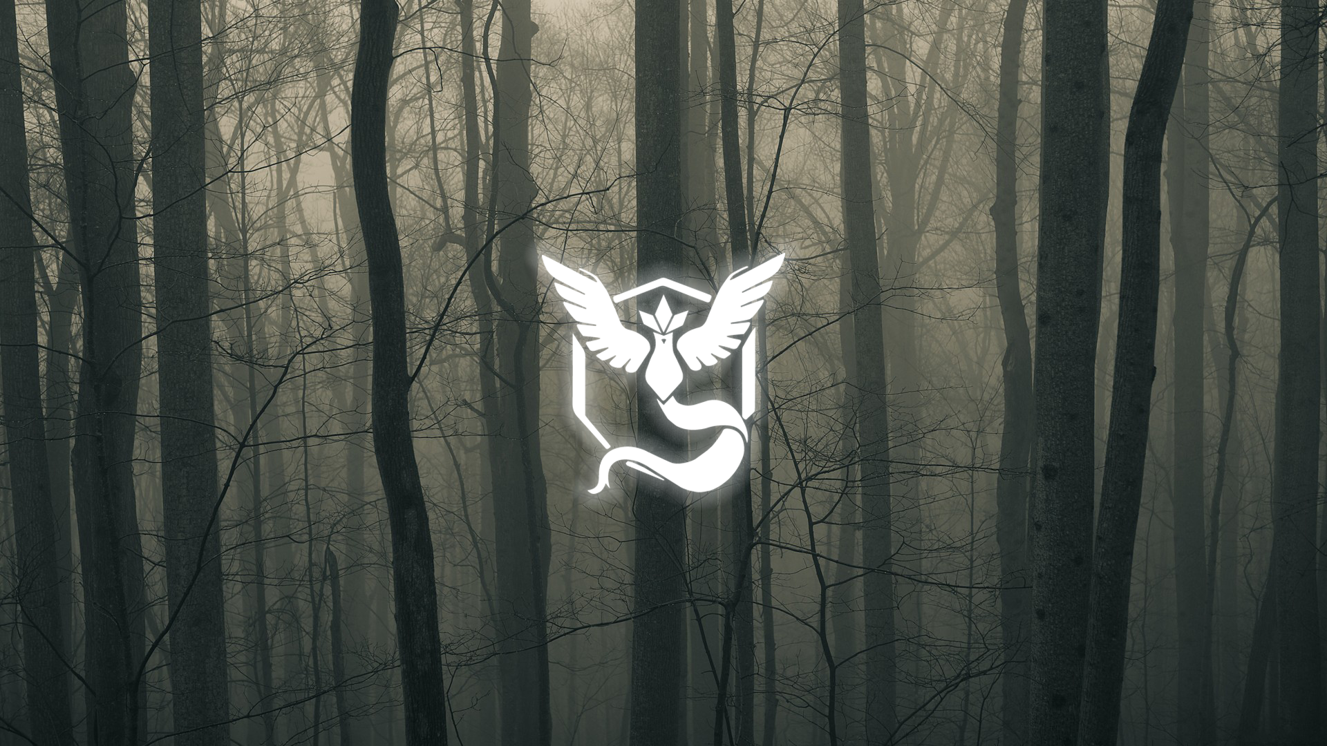 Team Mystic logo in a dark, foggy forest HD Wallpaper