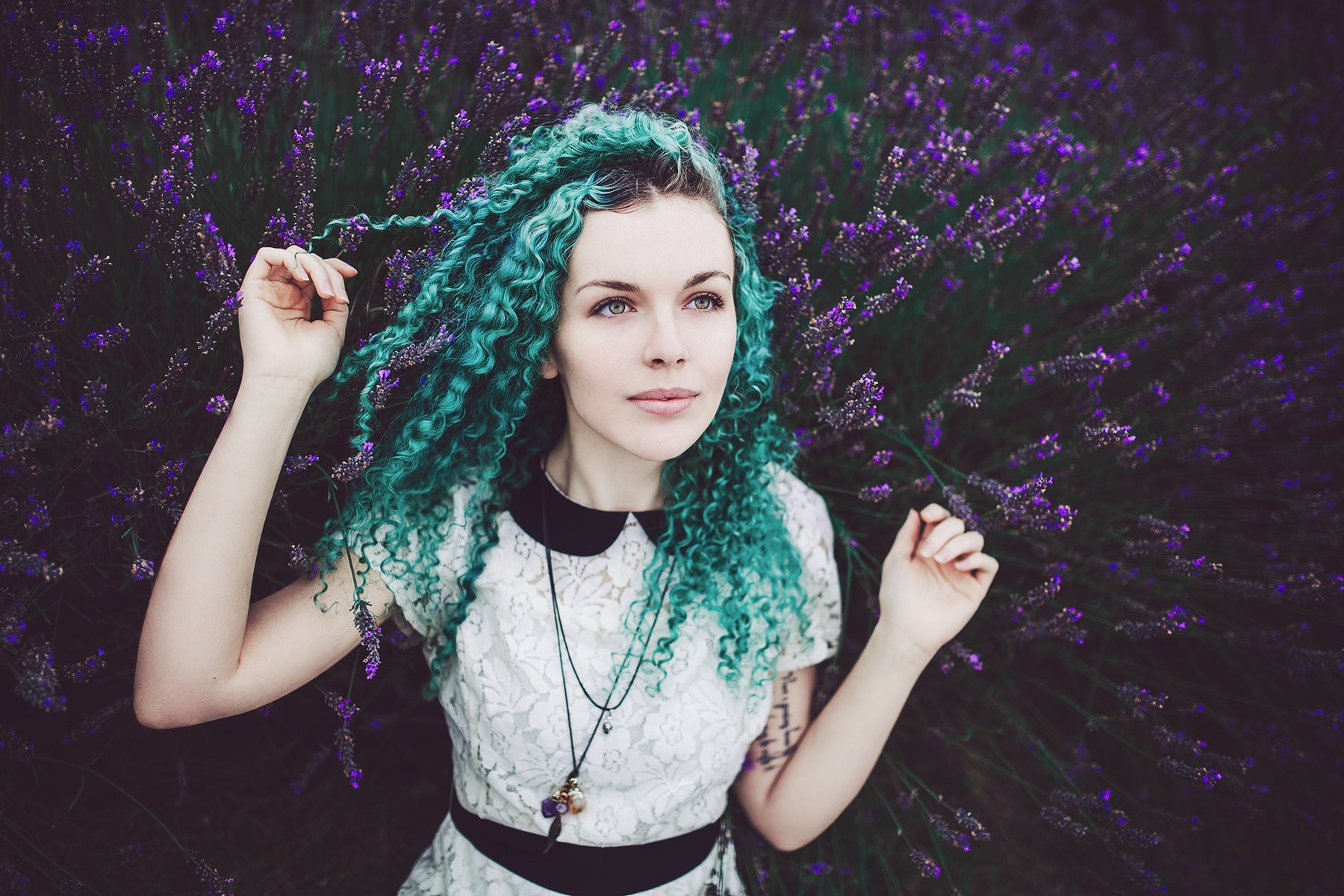 Woman with turquoise curly hair in a lavender field HD Wallpaper