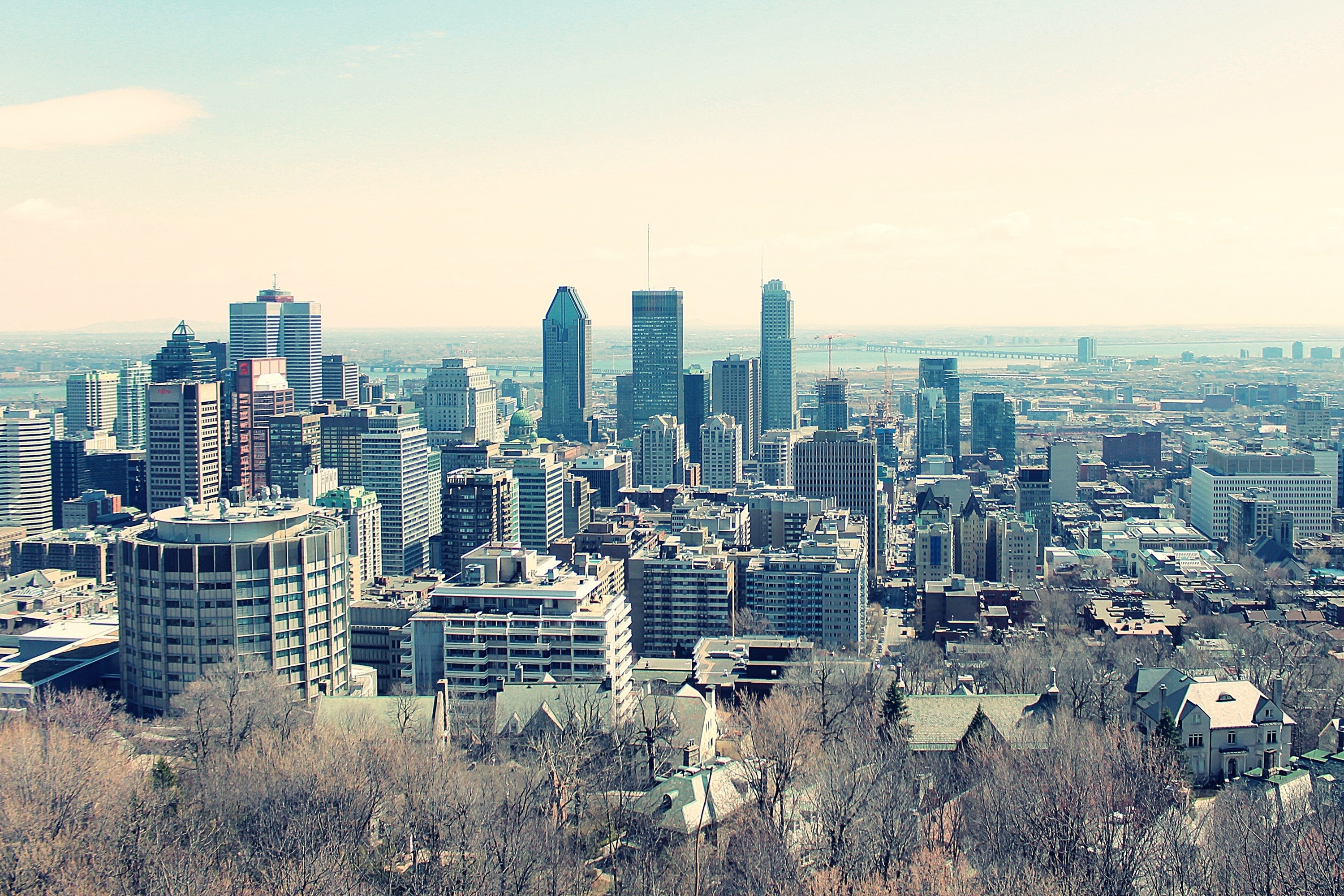 Montreal Cityscape with Skyscrapers and Trees HD Wallpaper
