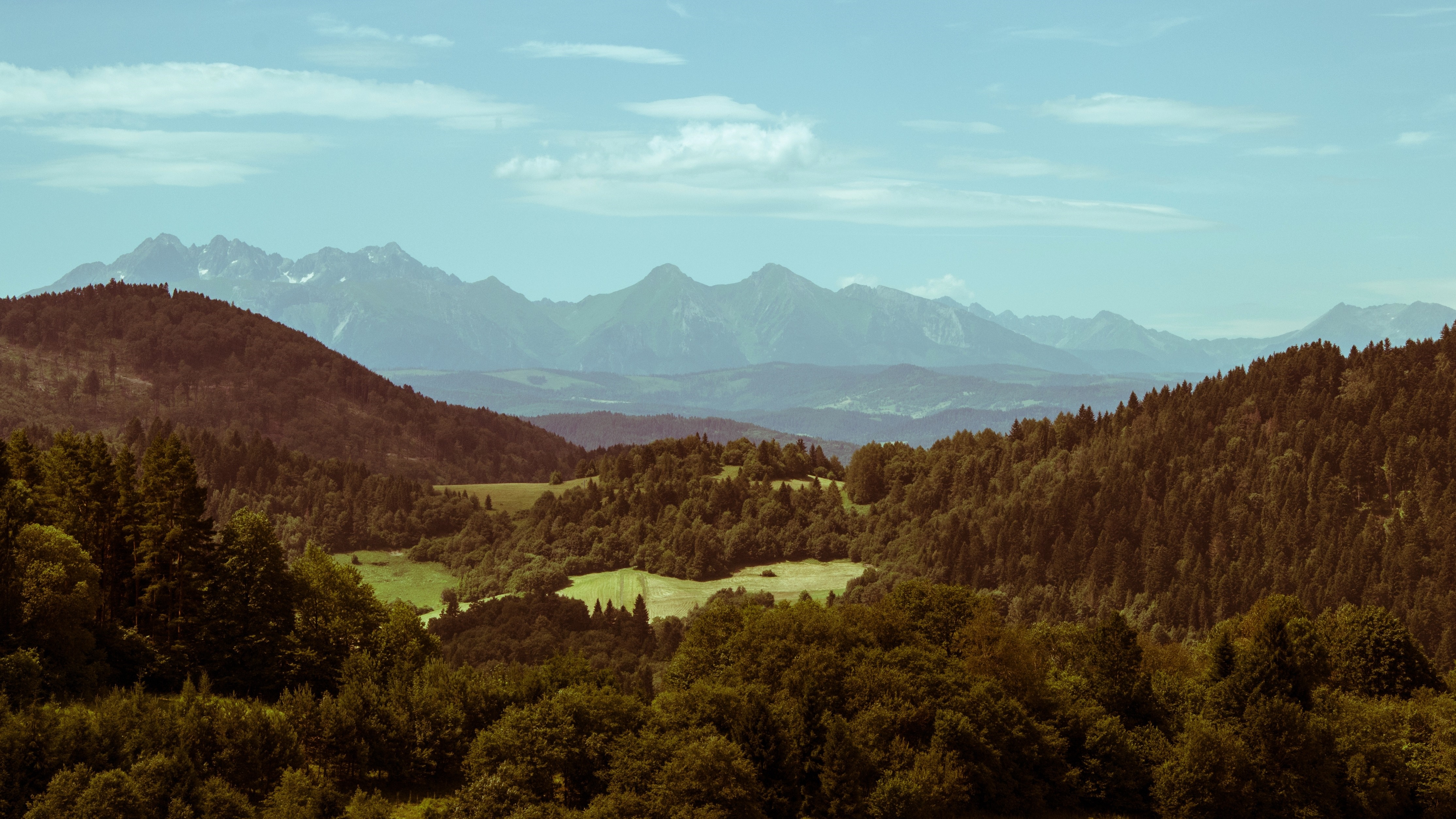 Mountain range with forested hills and a valley HD Wallpaper