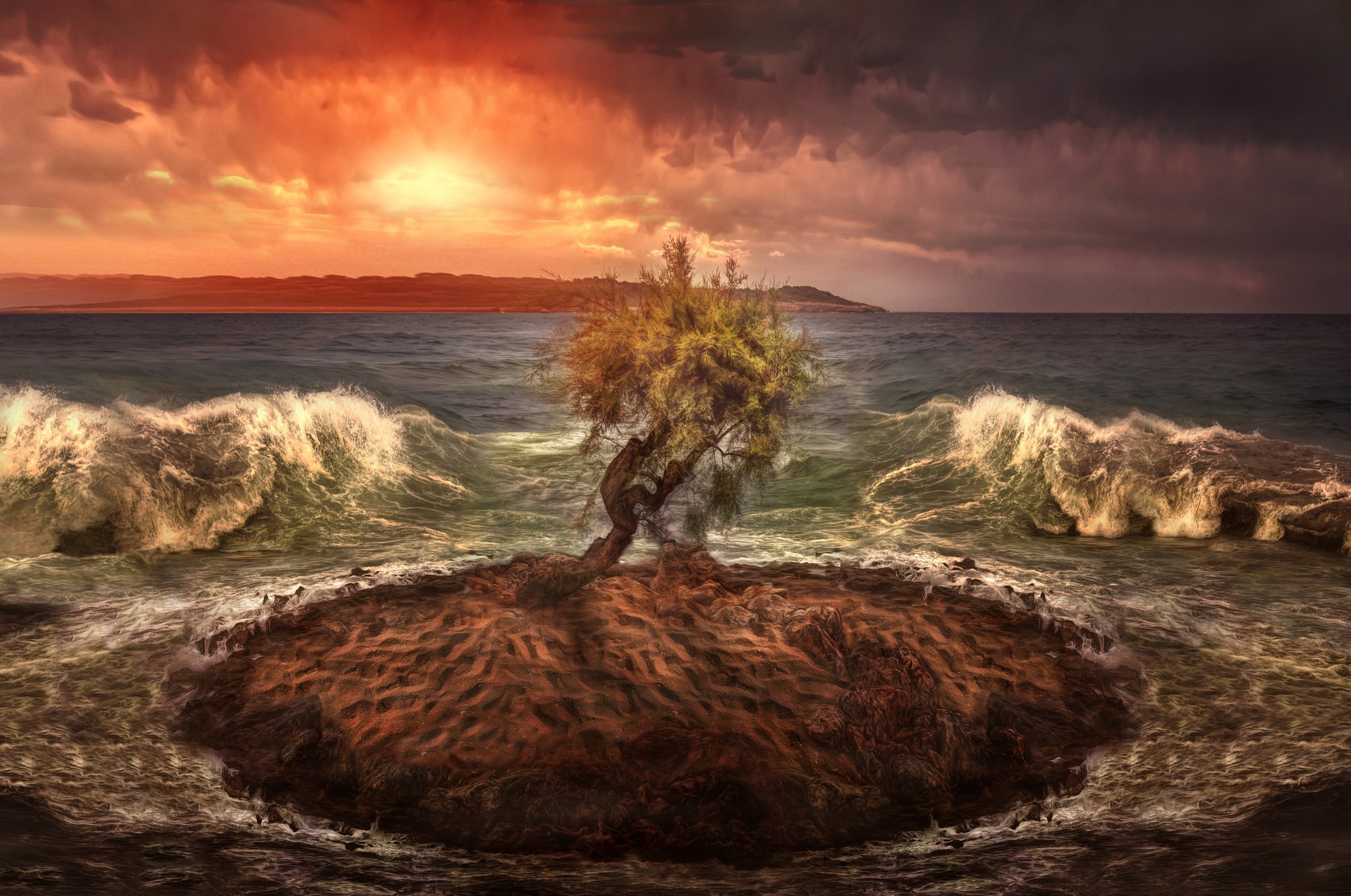 A lone tree on a rocky island in the sea during sunset HD Wallpaper