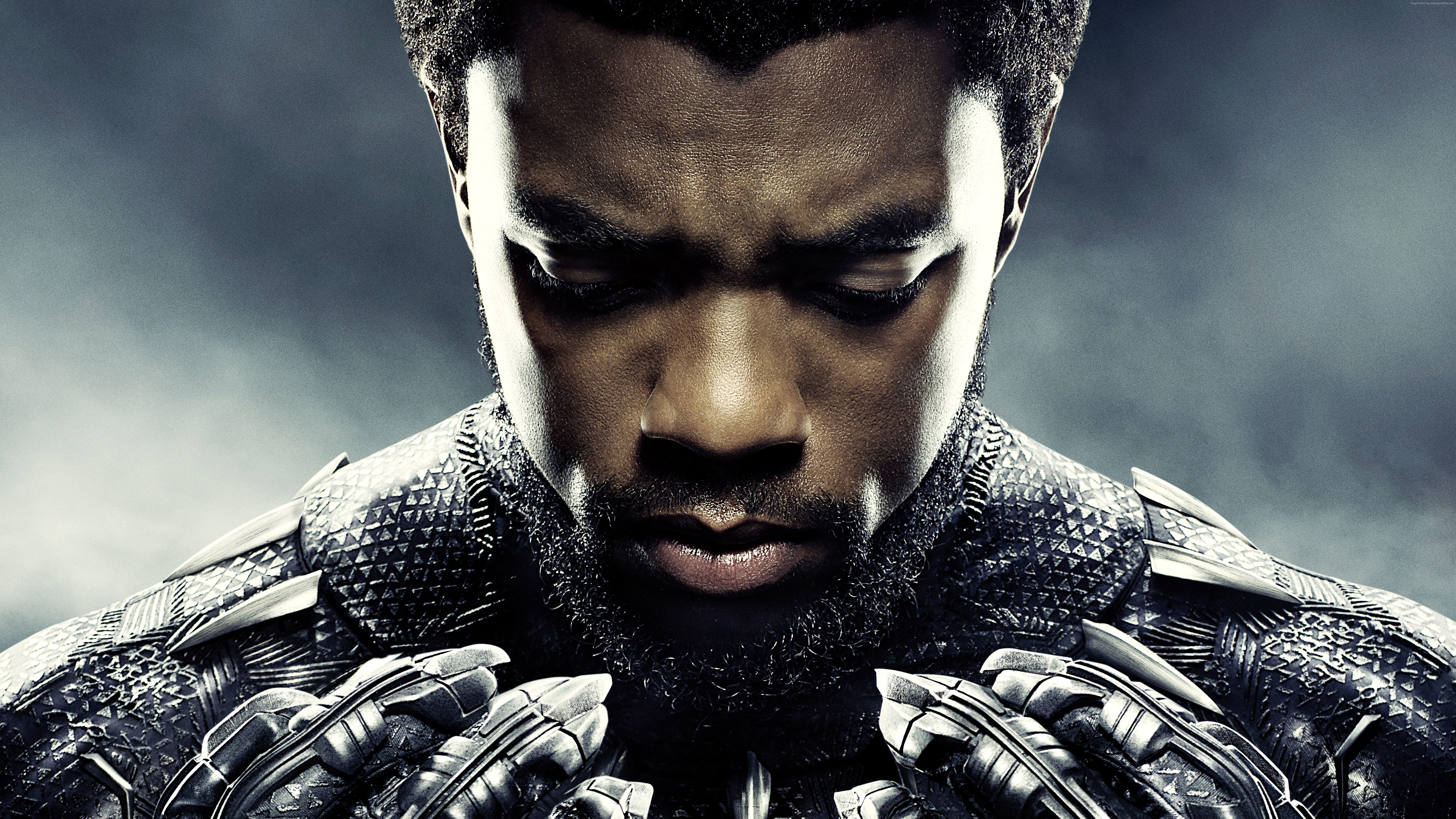 Chadwick Boseman as Black Panther HD Wallpaper