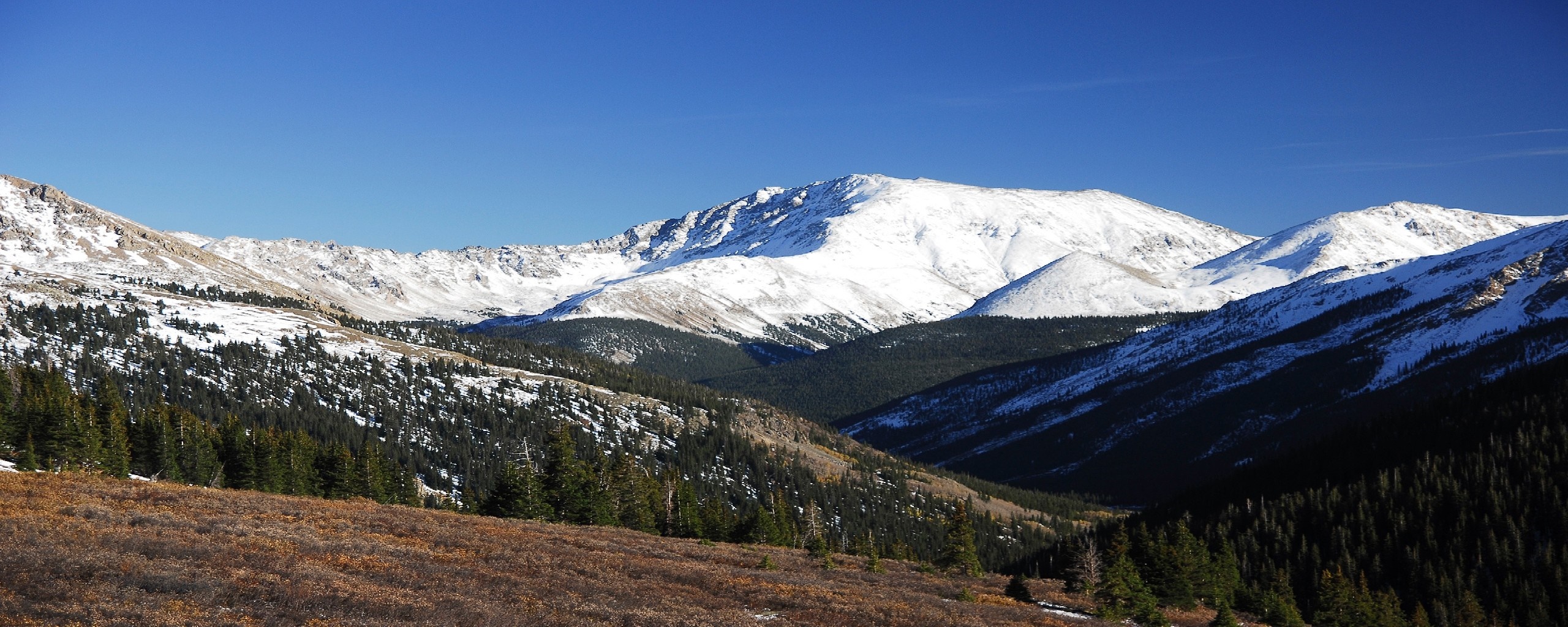 Snow-covered mountains and evergreen forest under a clear blue sky HD Wallpaper