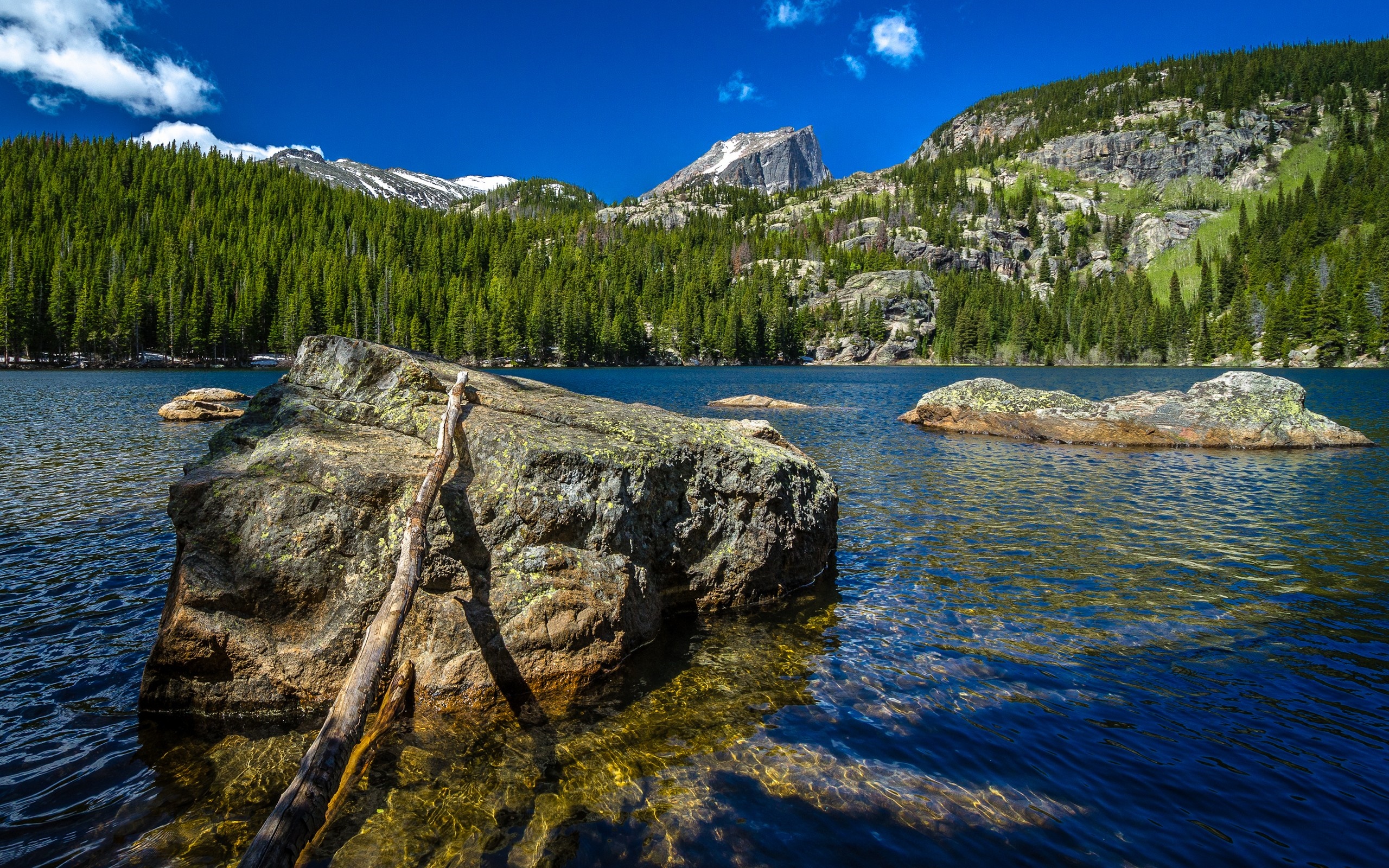Rocky mountain lake with pine forest and peak HD Wallpaper