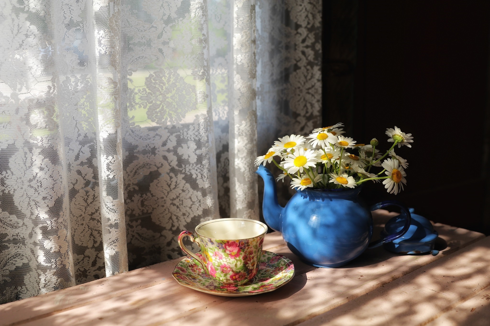 Still life of daisies in a blue teapot with a floral teacup HD Wallpaper