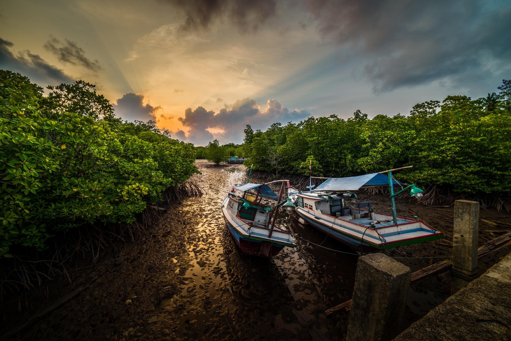 Boats in a mangrove canal at sunset HD Wallpaper