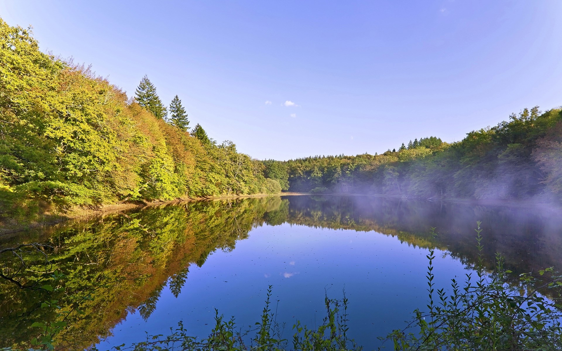 Misty lake surrounded by autumn forest HD Wallpaper