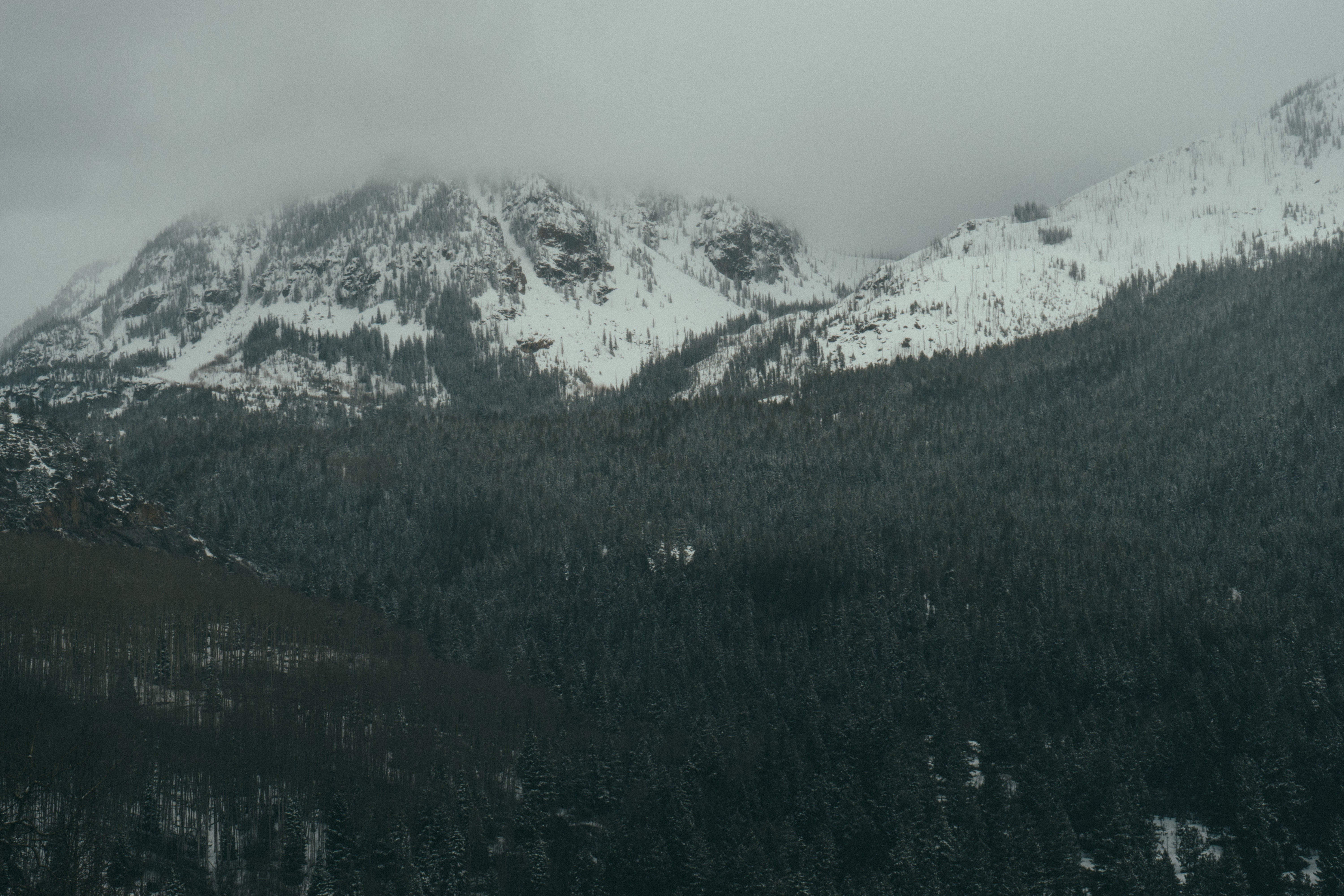 Snow-covered mountains and dense forest under a cloudy sky HD Wallpaper
