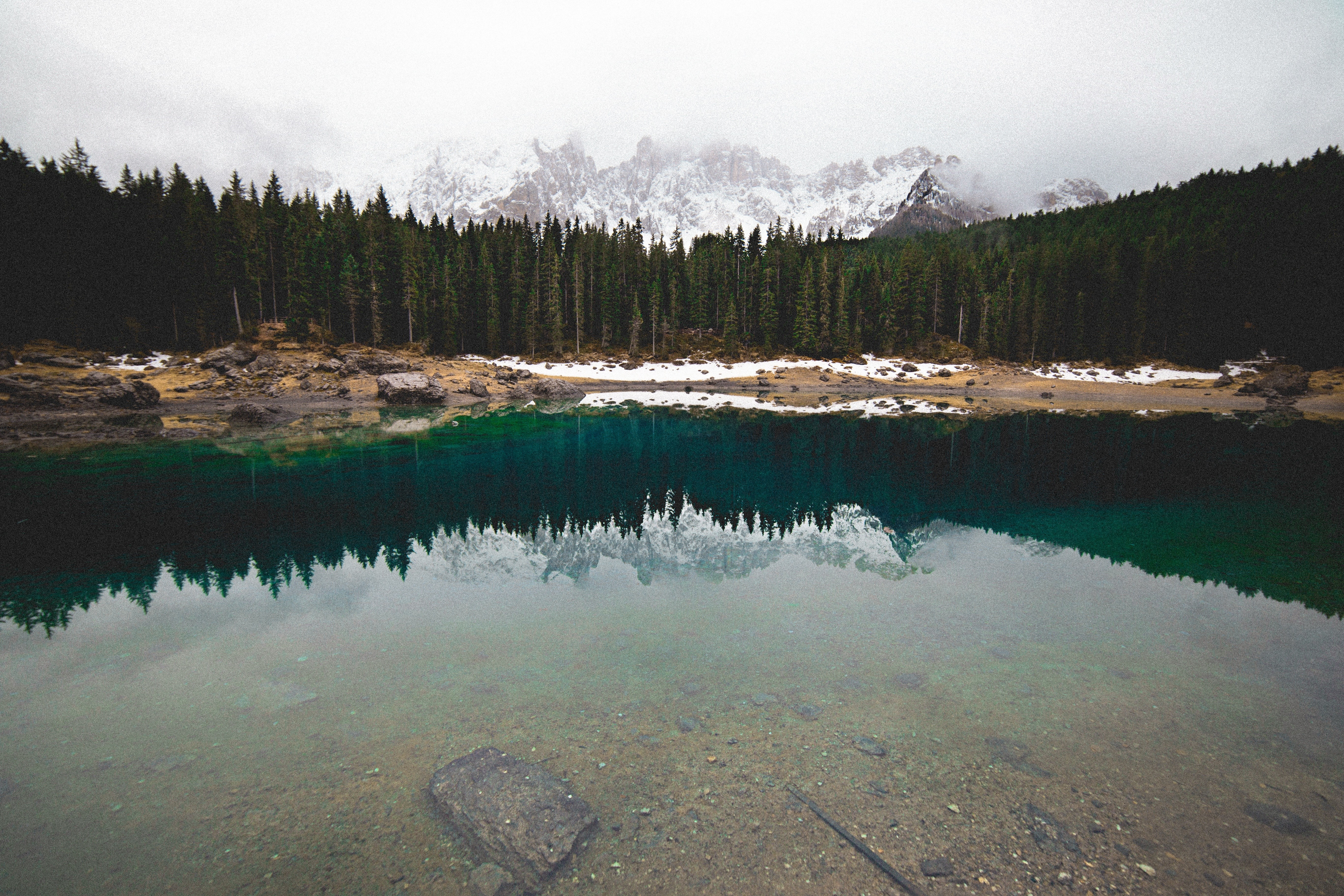 Lake reflection of pine forest and snow-capped mountains HD Wallpaper
