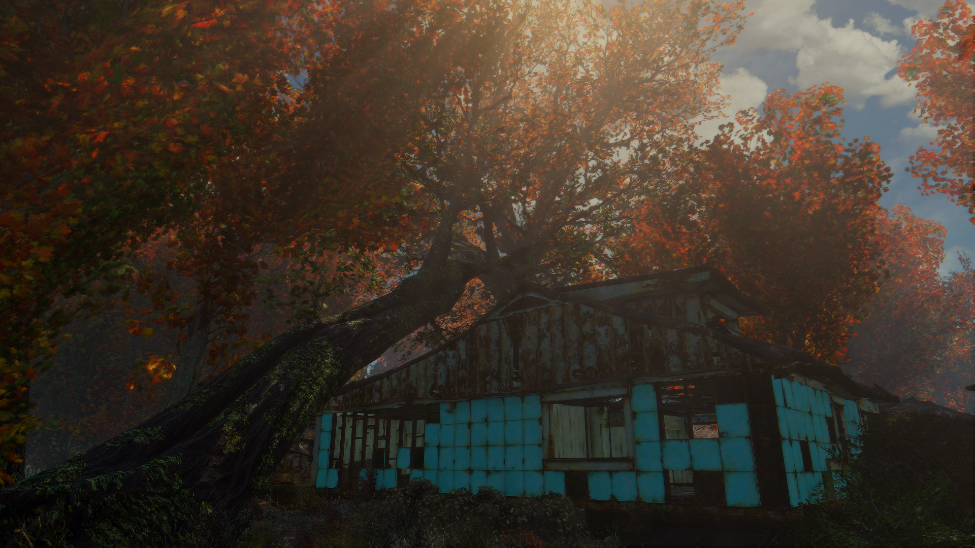 Abandoned building in a forest during autumn HD Wallpaper