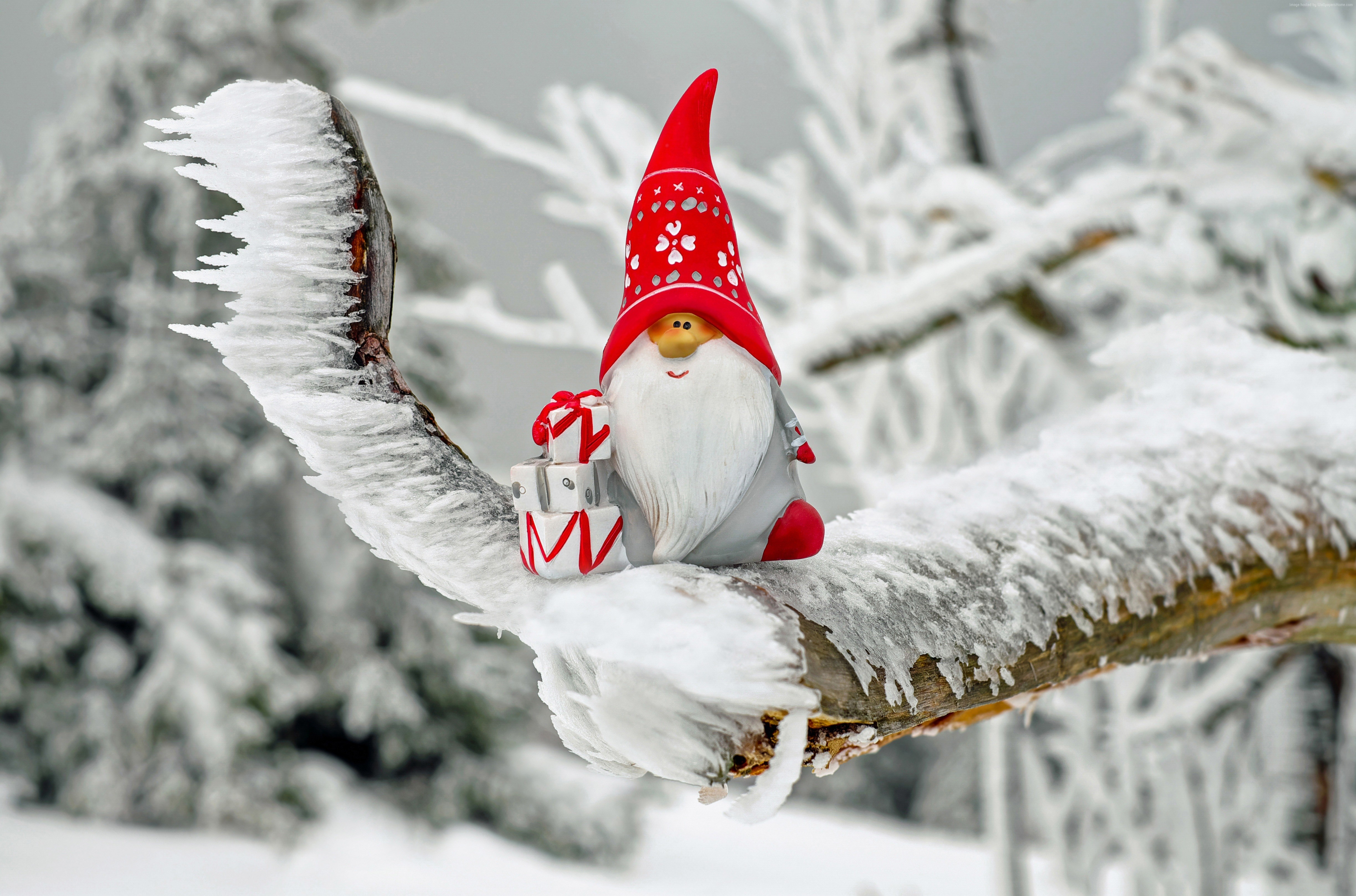Christmas gnome with gifts on a snowy branch 4K HD Wallpaper