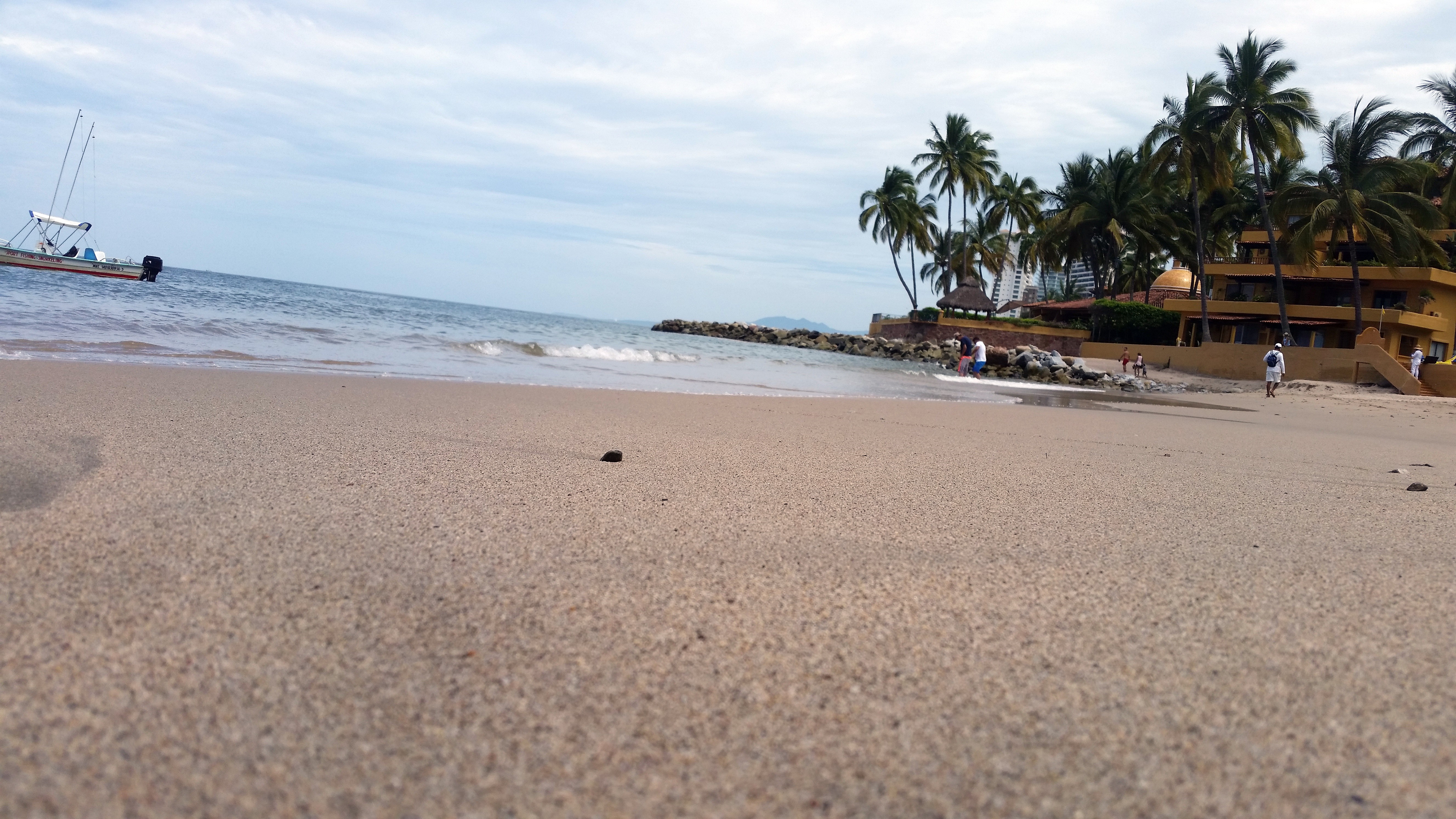 Beach with palm trees and buildings HD Wallpaper