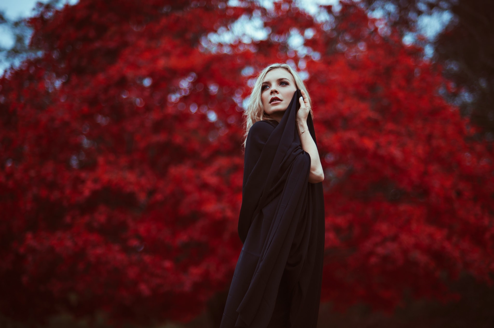 Woman in black dress with red tree background HD Wallpaper