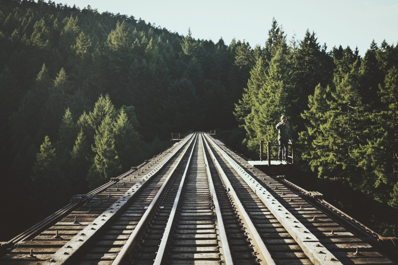 Person on railway bridge surrounded by forest HD Wallpaper