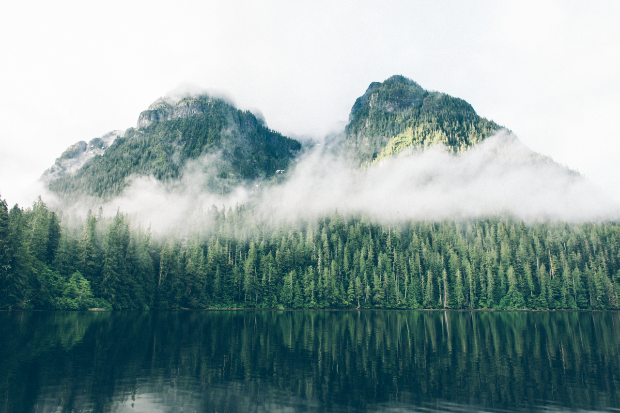 Misty mountains covered in forest reflected in a calm lake HD Wallpaper