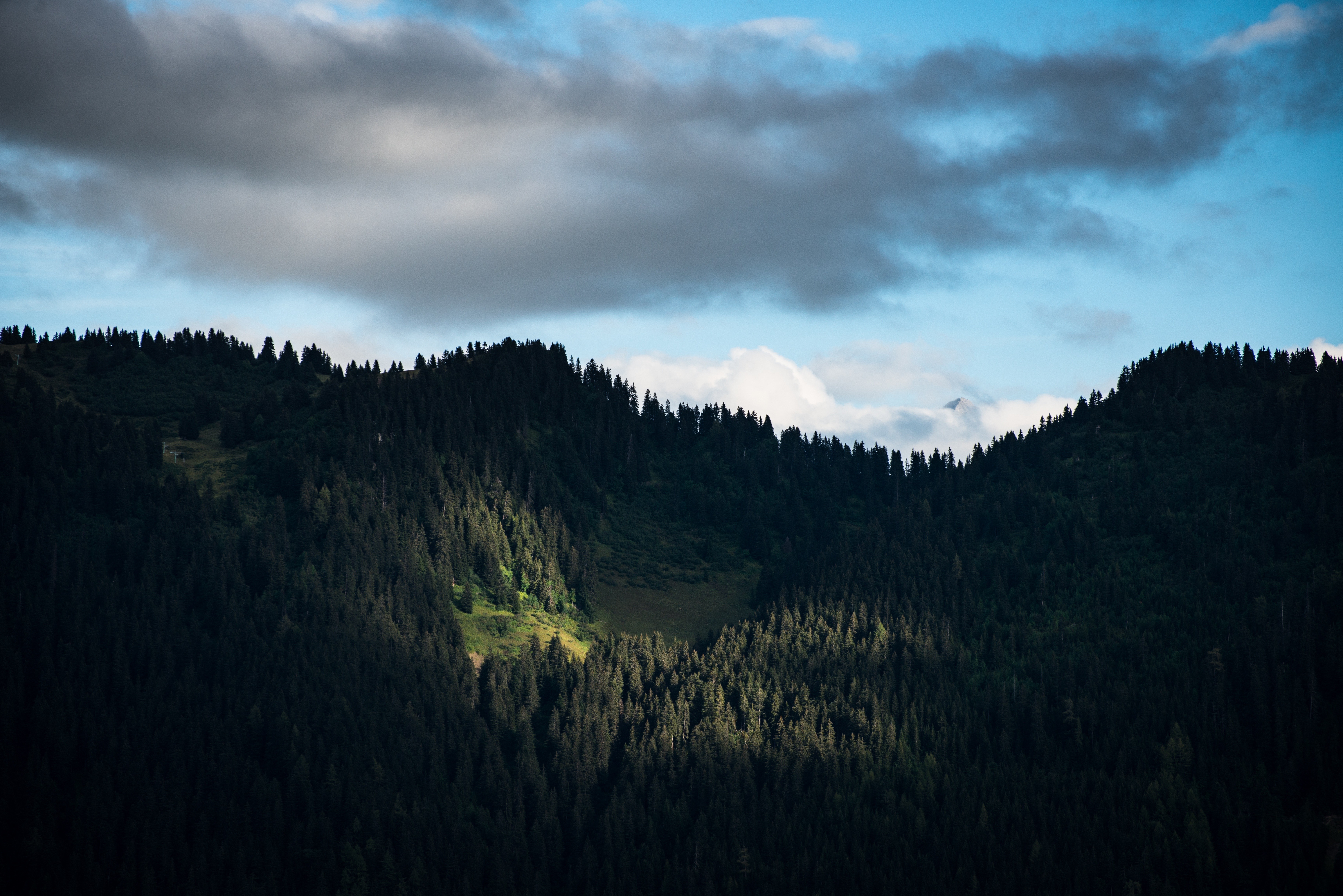 Dark forest on a mountain range under clouds HD Wallpaper