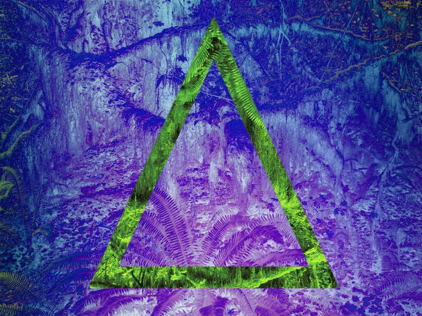Green triangle overlay on a purple and blue forest scene HD Wallpaper