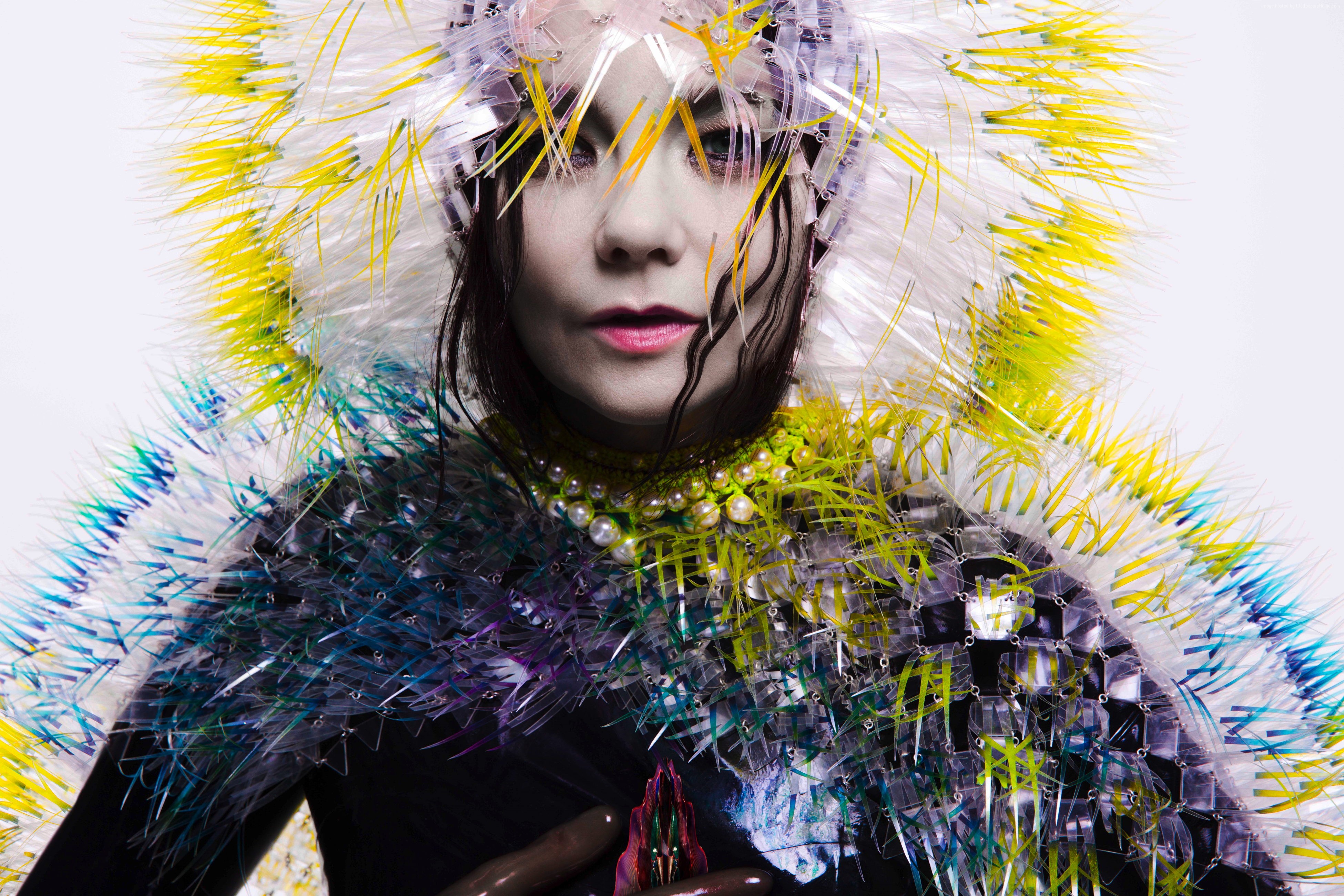 Bjork in elaborate costume HD Wallpaper