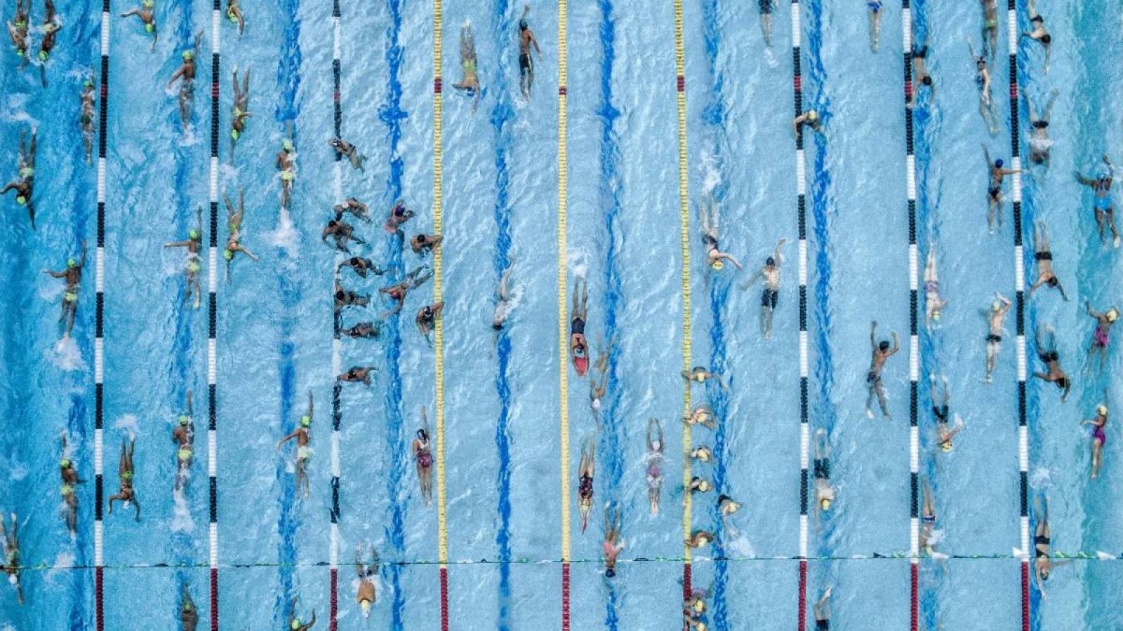 Aerial view of swimmers in a competition HD Wallpaper