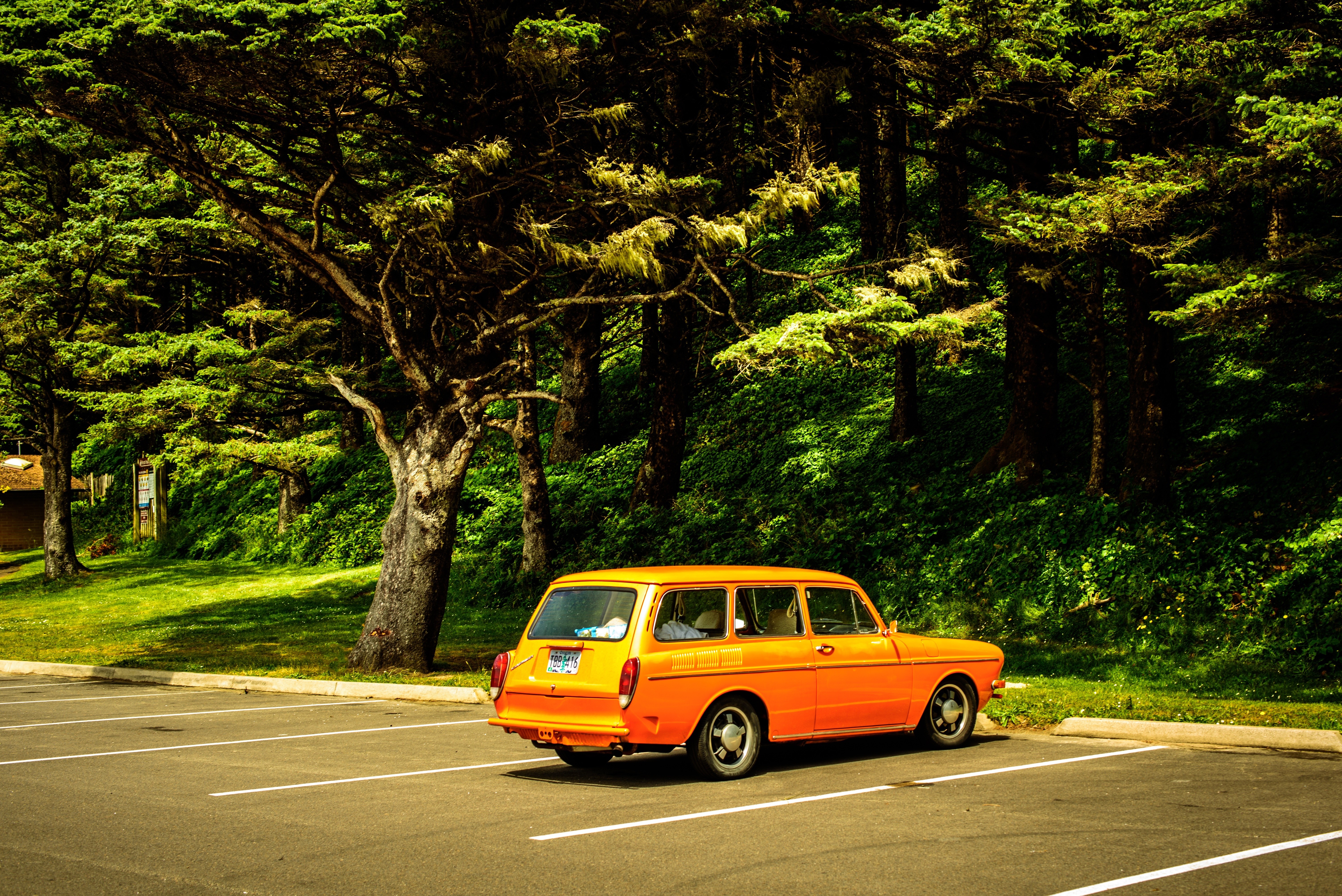 Orange station wagon parked by a forest HD Wallpaper