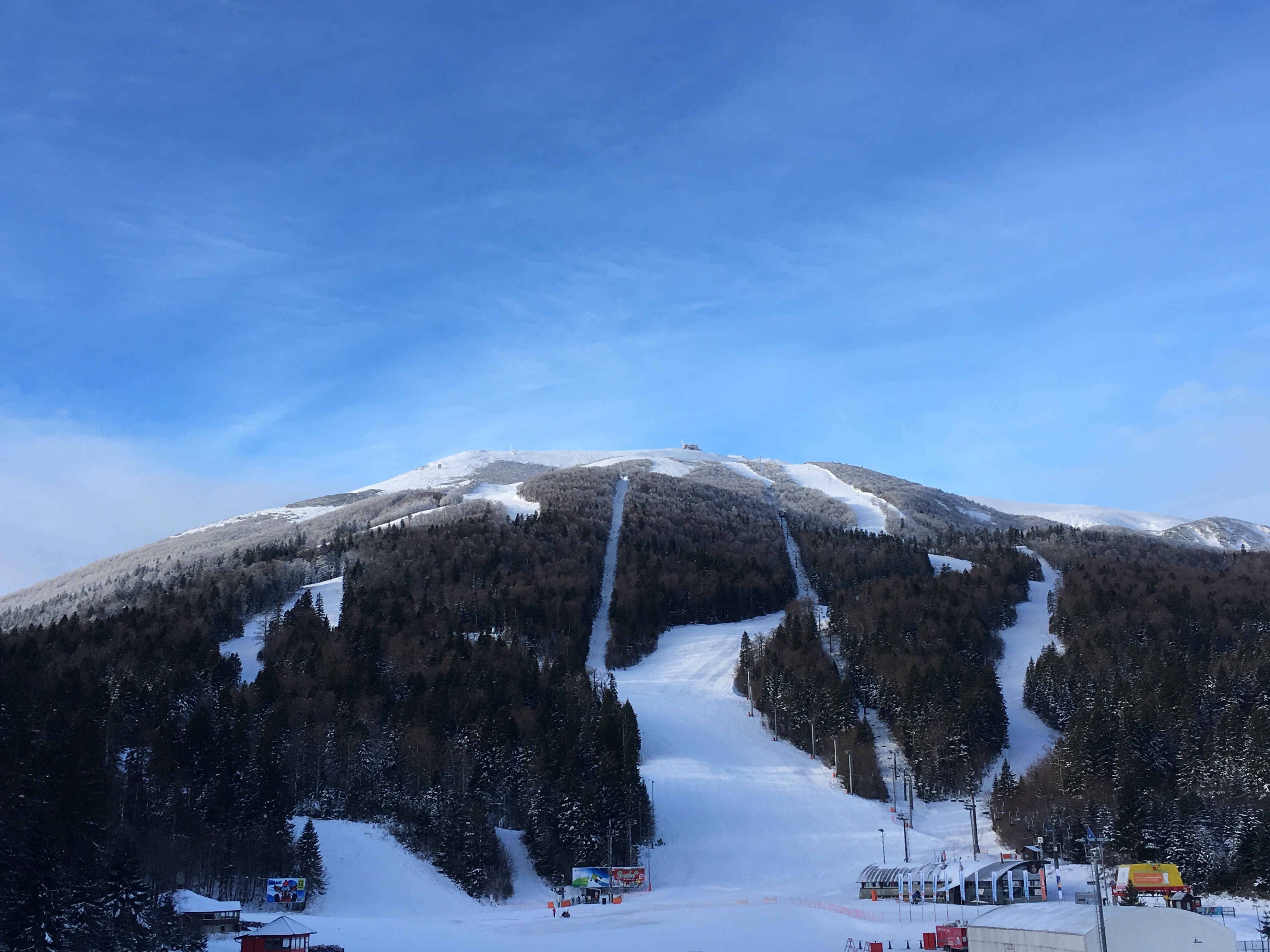 Snowy mountain slopes with ski pistes and trees HD Wallpaper