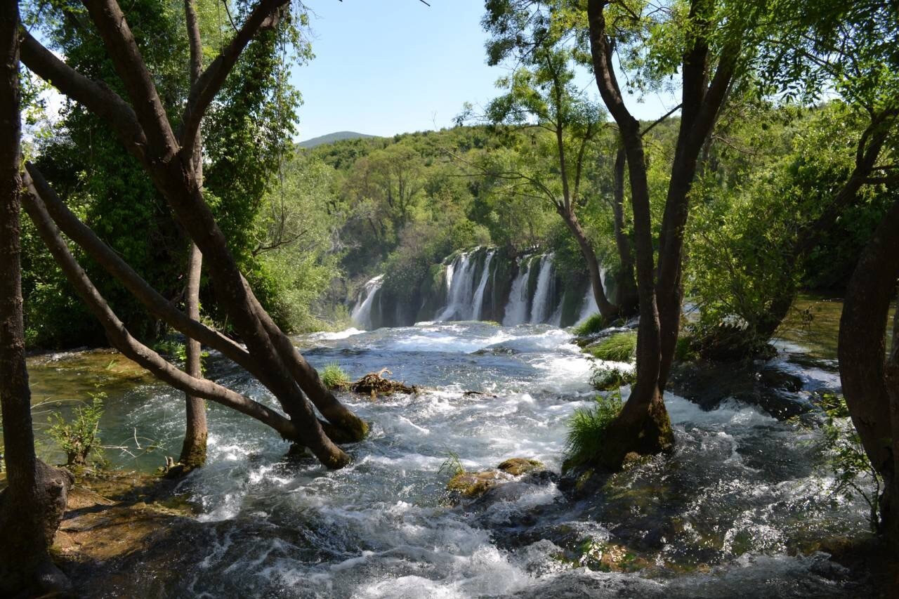 Waterfall and river flowing through a forest HD Wallpaper