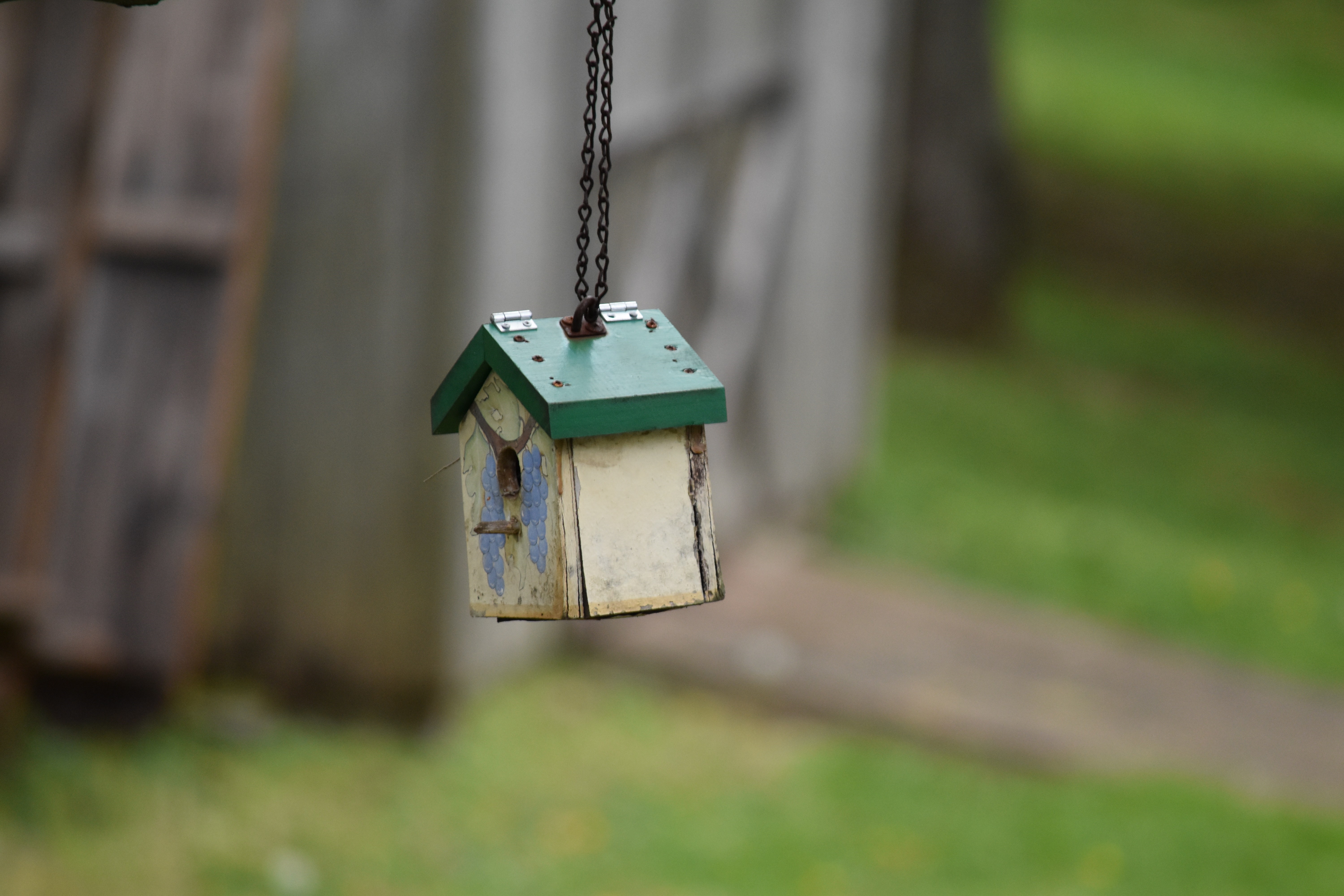A weathered birdhouse hangs from a chain HD Wallpaper