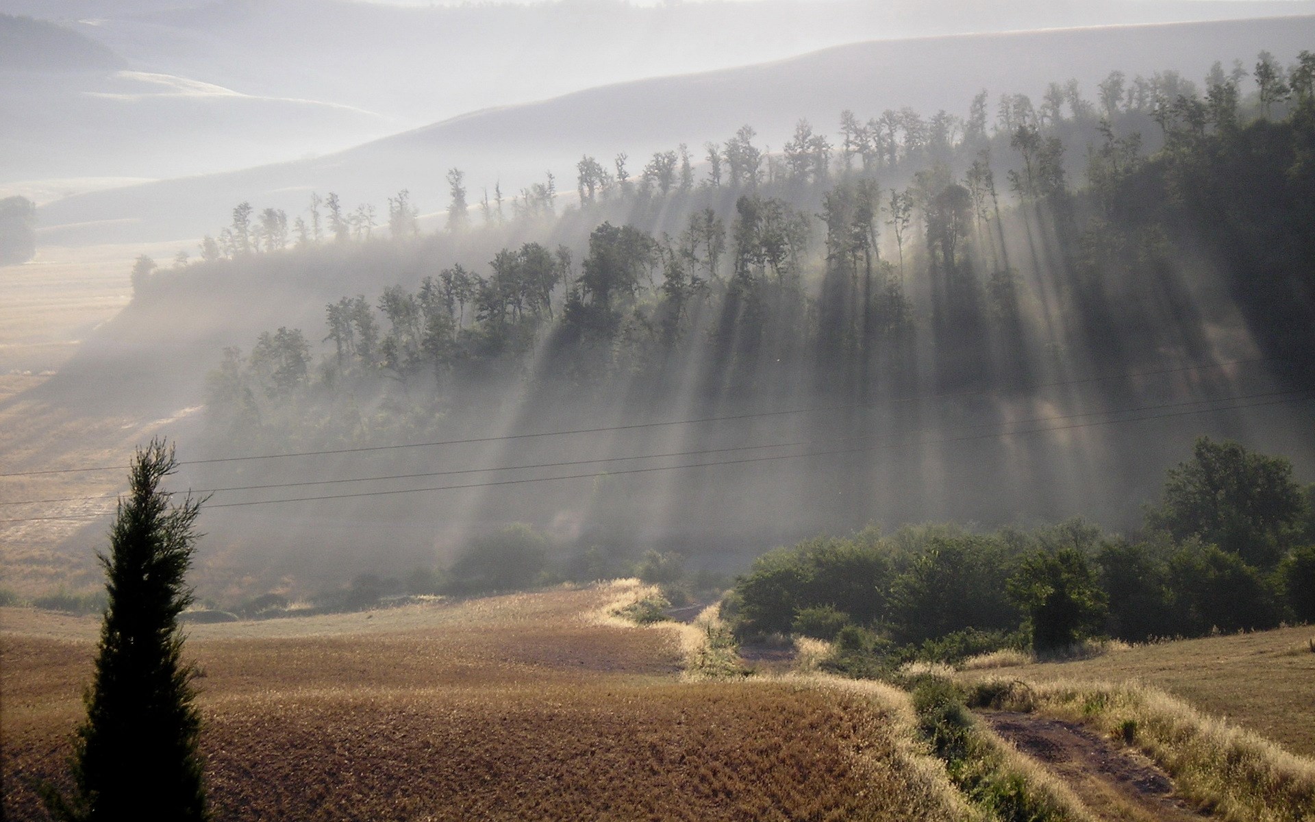 Sunbeams through fog over rolling hills and trees HD Wallpaper