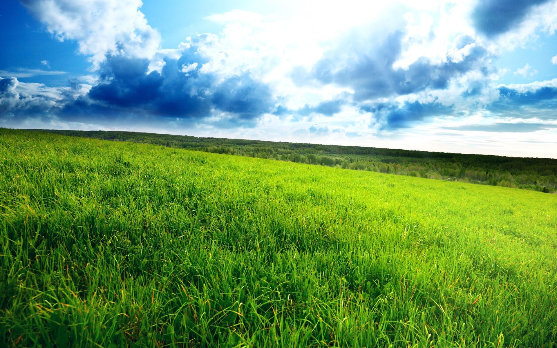Green grassy hill under a cloudy blue sky HD Wallpaper